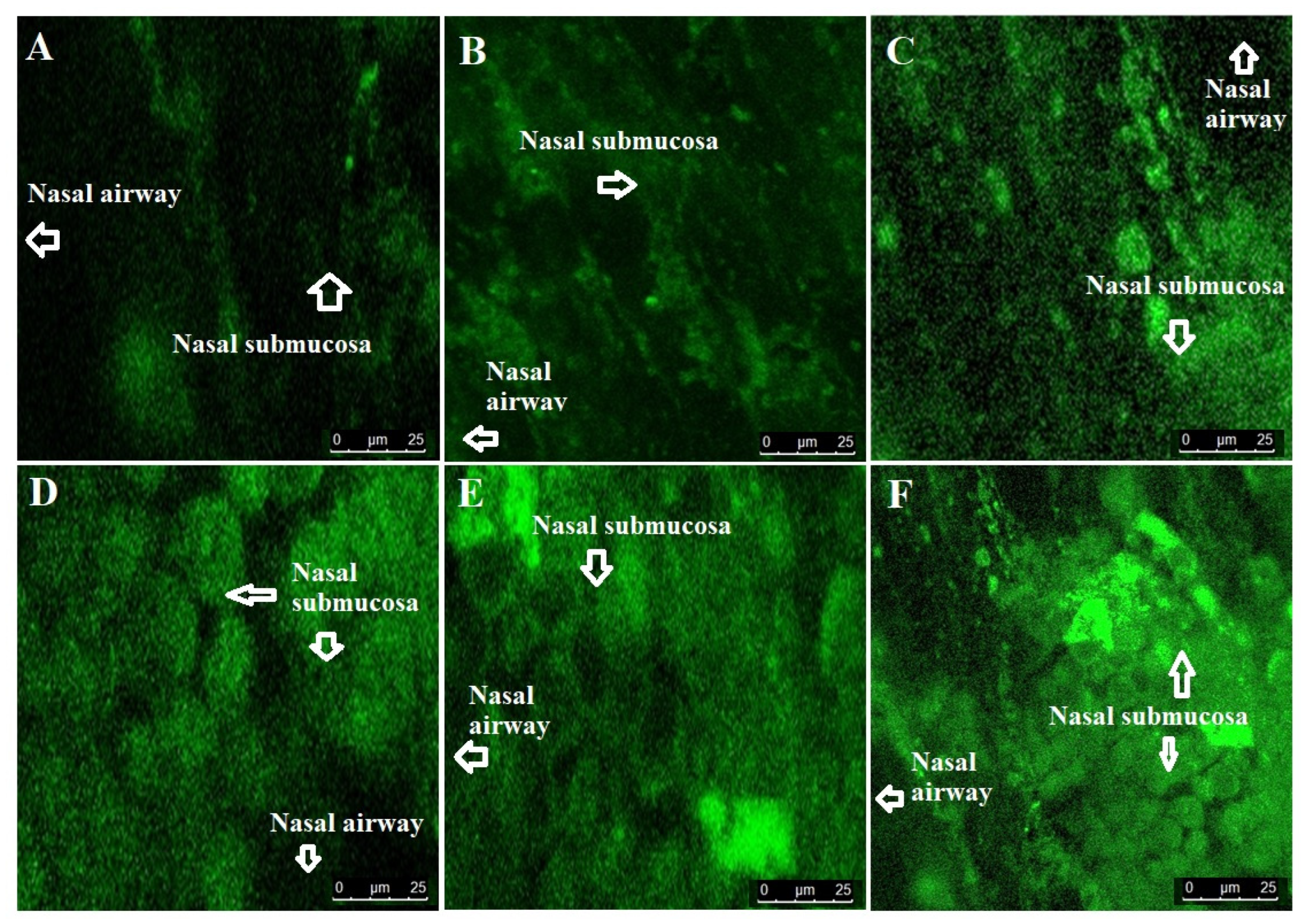 Gels 09 00603 g008 Gels 09 00603 g008