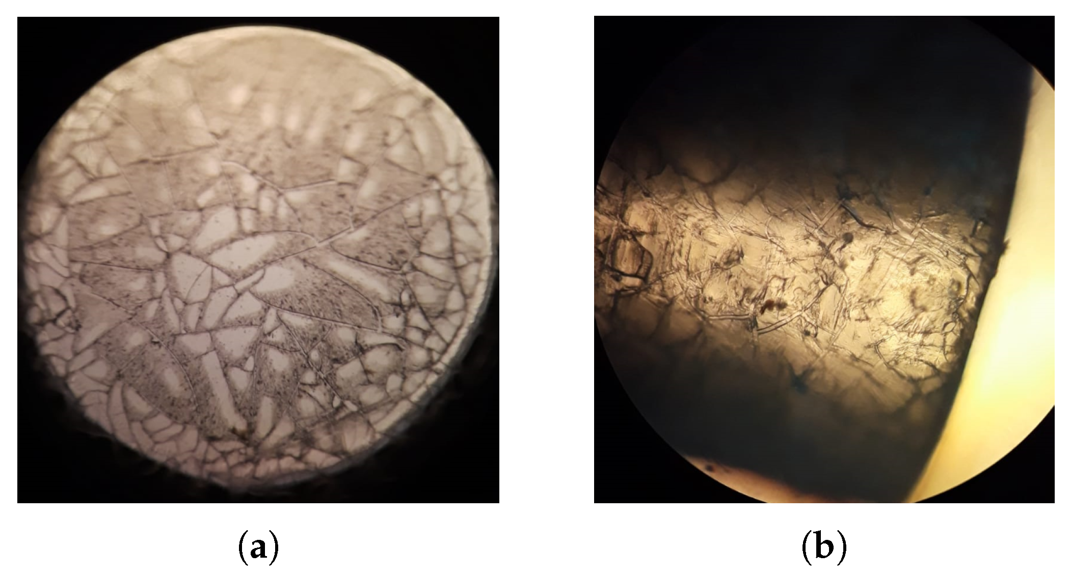 Gels 09 00608 g001 Gels 09 00608 g001