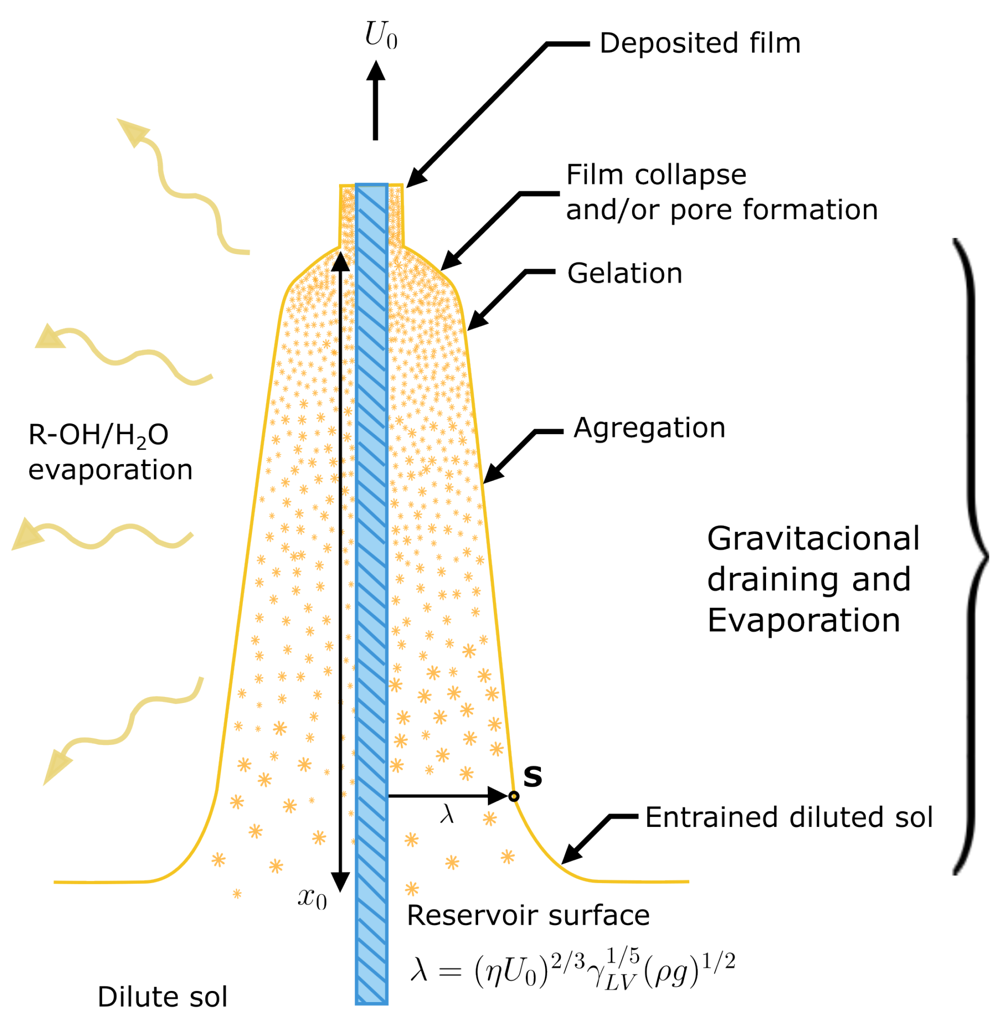 Gels 09 00608 g012 Gels 09 00608 g012