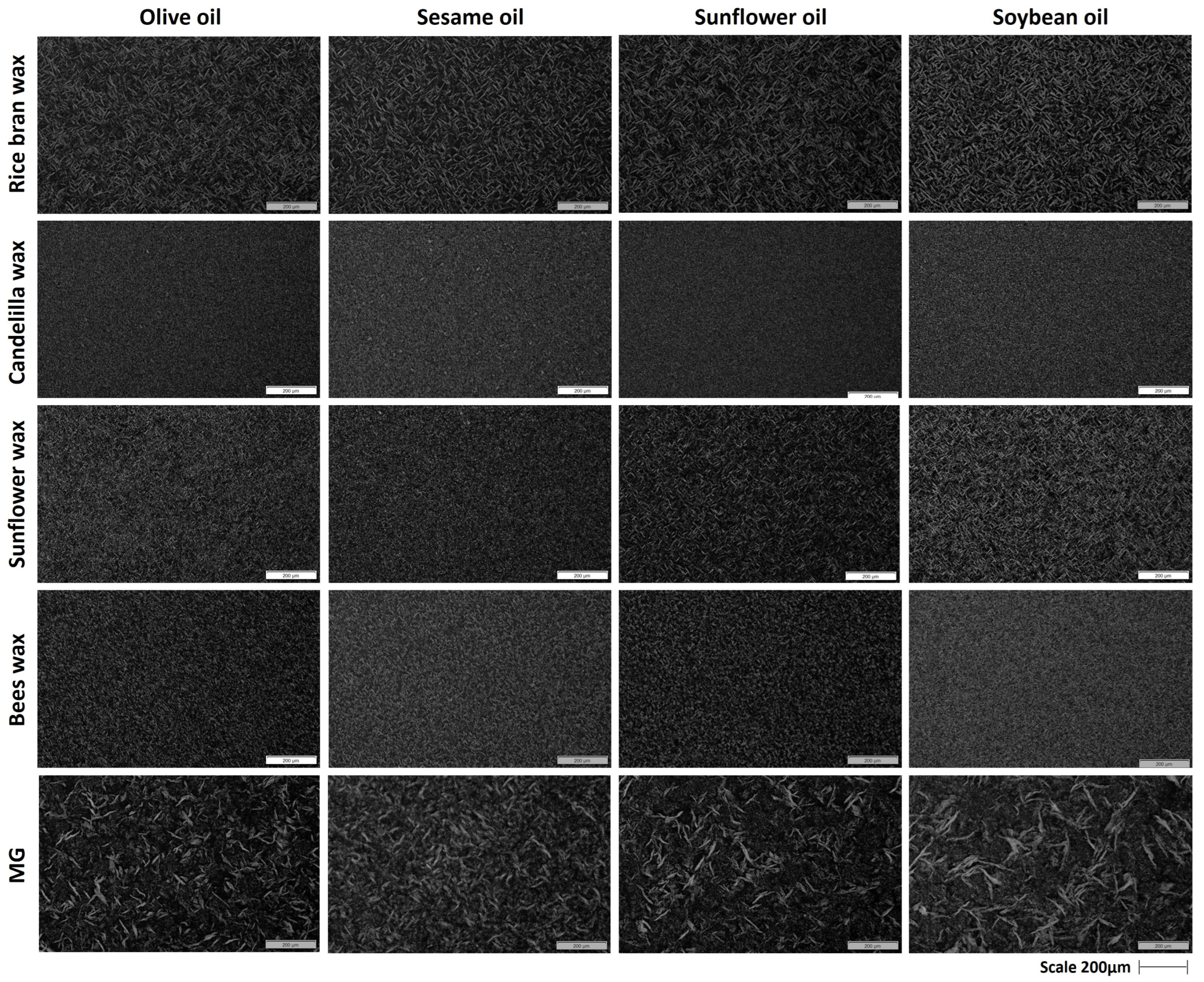 https://www.mdpi.com/gels/gels-09-00627/article_deploy/html/images/gels-09-00627-g002.png