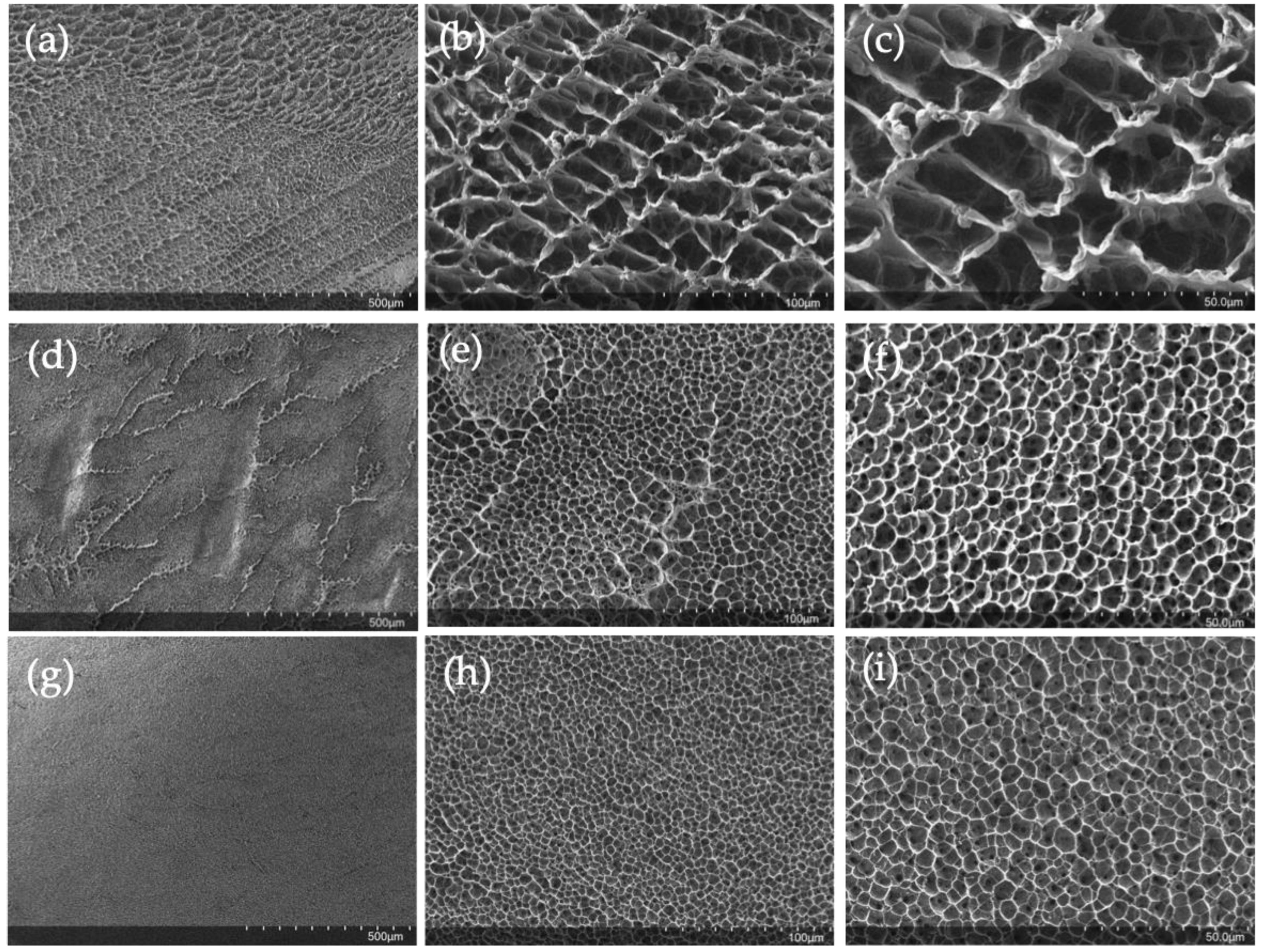 Gels 09 00644 g008 Gels 09 00644 g008