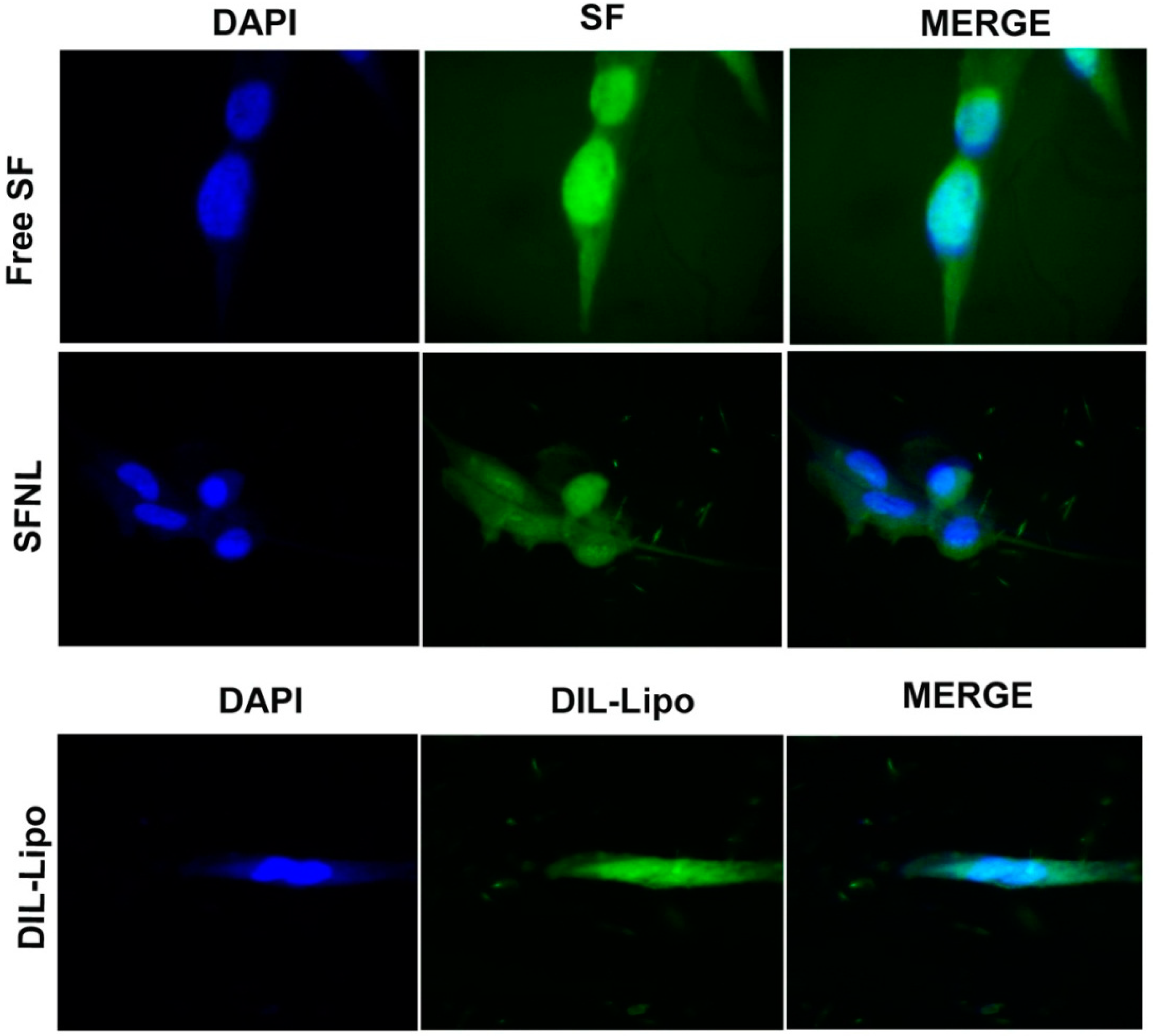 Gels, Free Full-Text