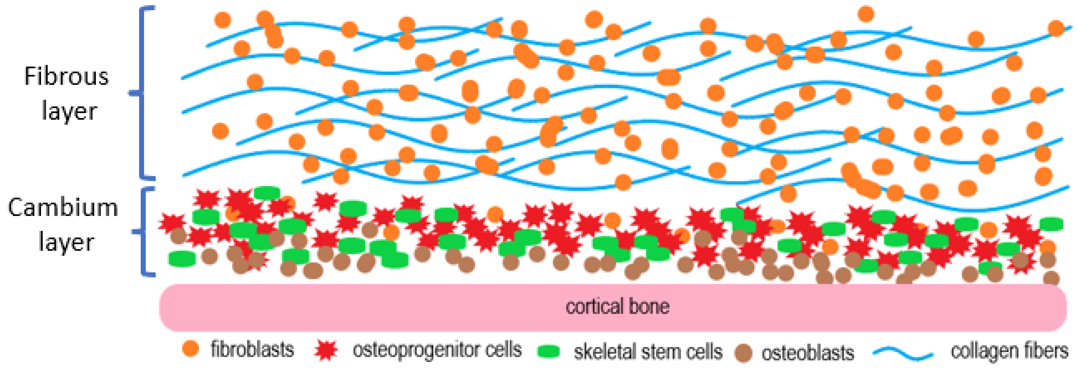 Gels Free FullText From Free Tissue Transfer to Hydrogels A Brief