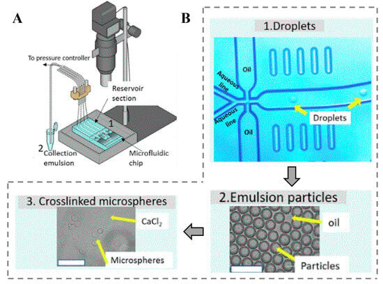 Gels | Free Full-Text | Emerging Advances in Microfluidic Hydrogel