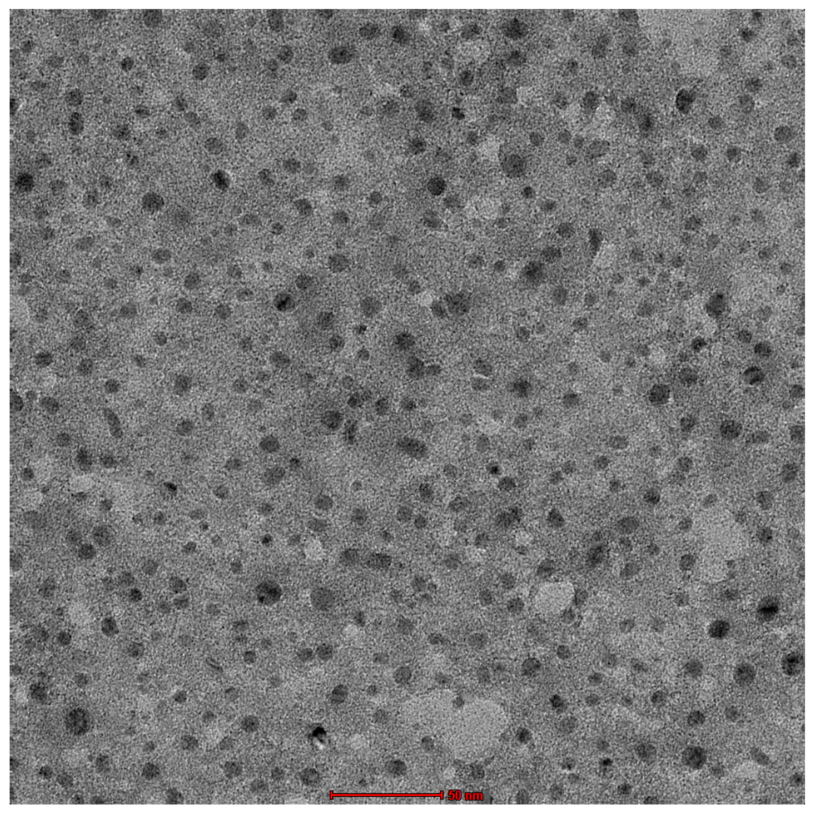 Gels 09 00791 g004