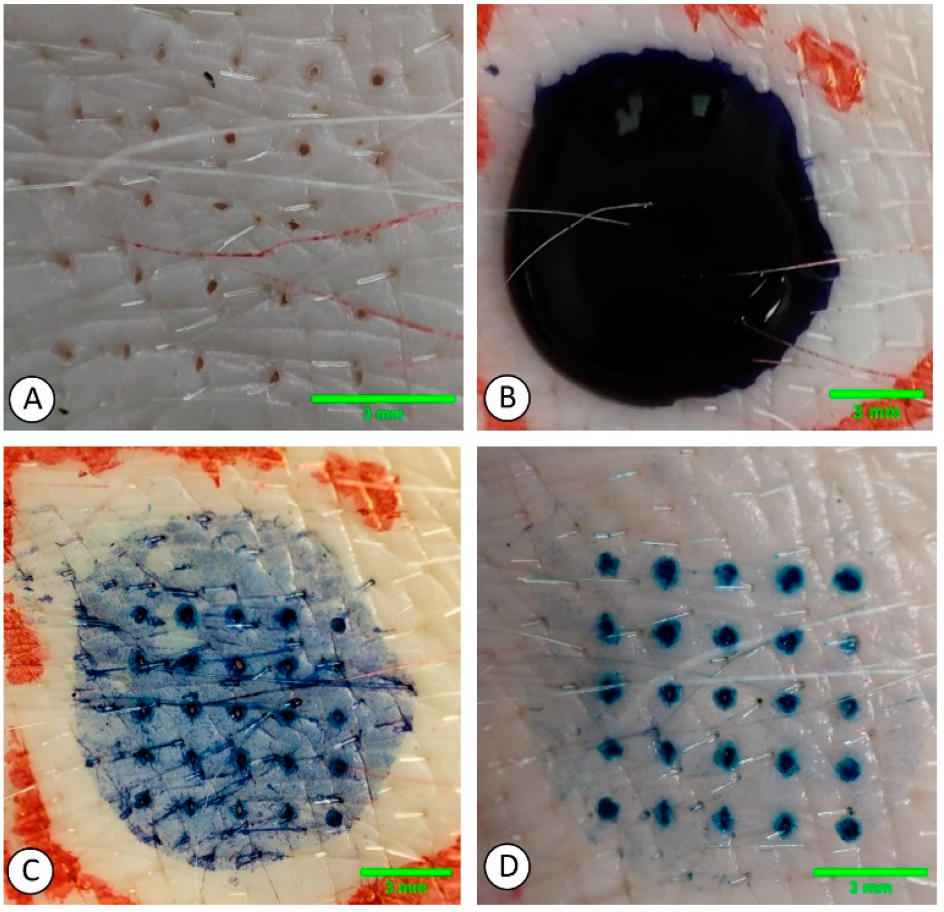 Gels 09 00806 g009 Gels 09 00806 g009