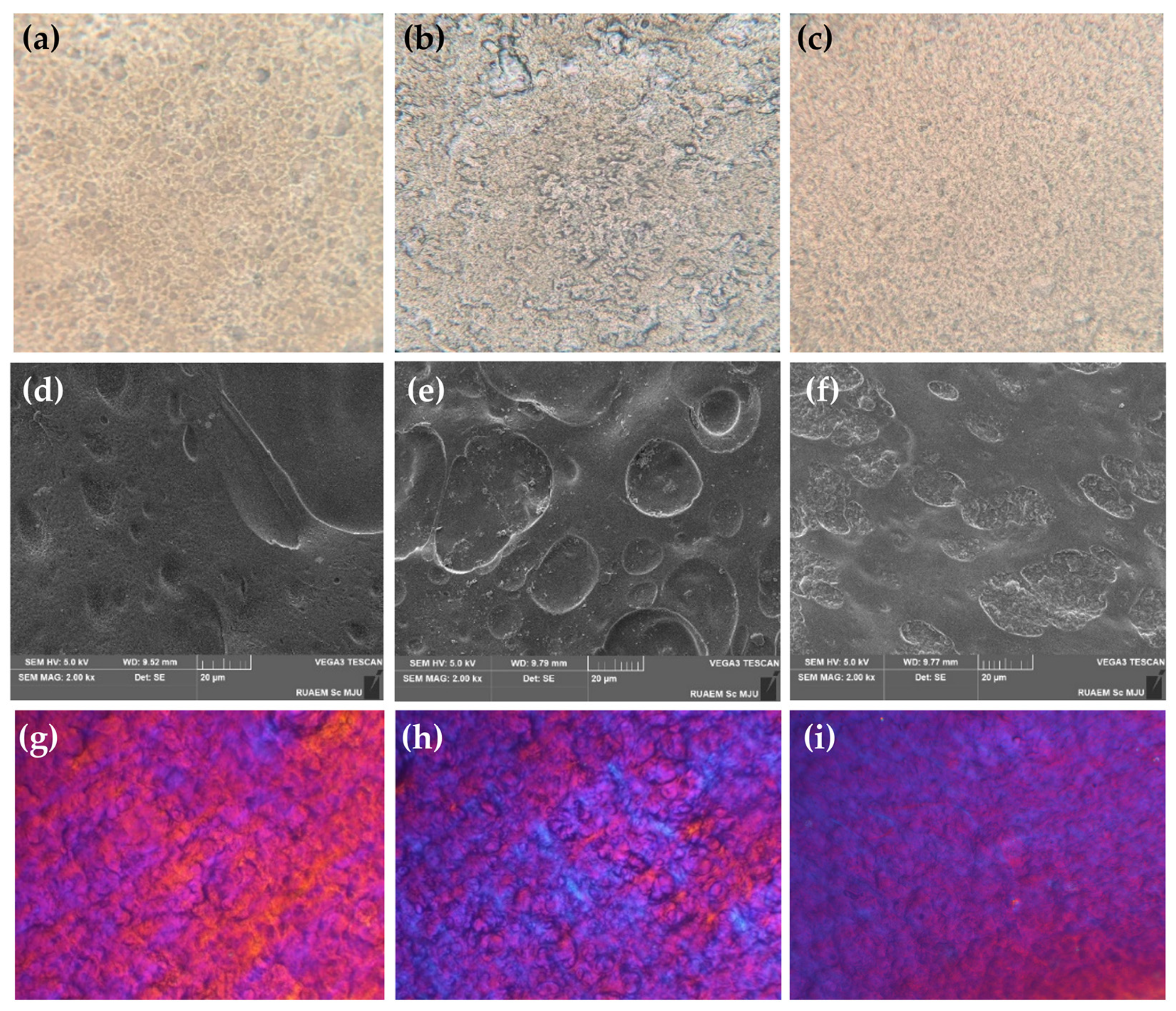 Gels 09 00816 g008