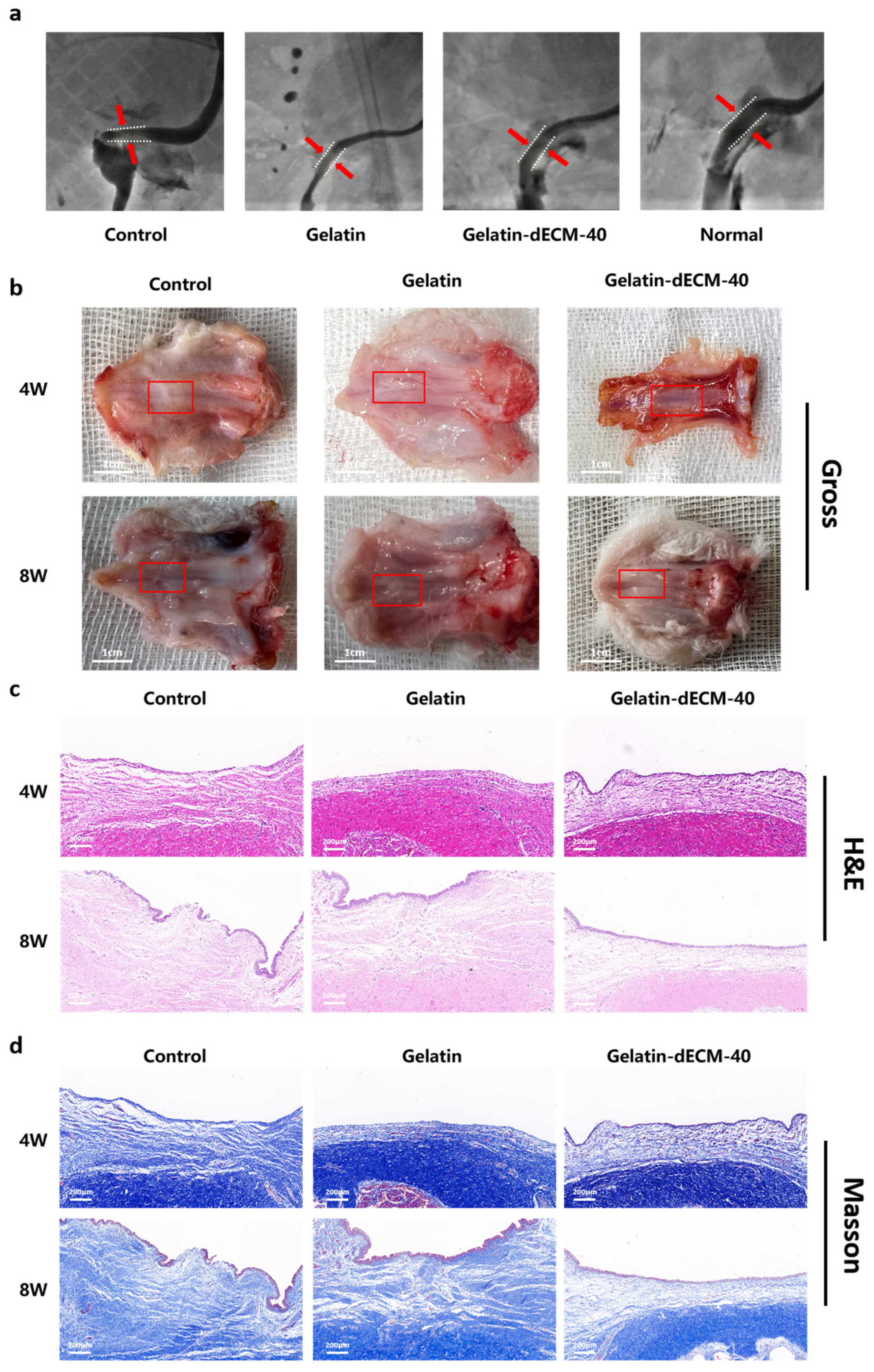 Gels 09 00913 g005