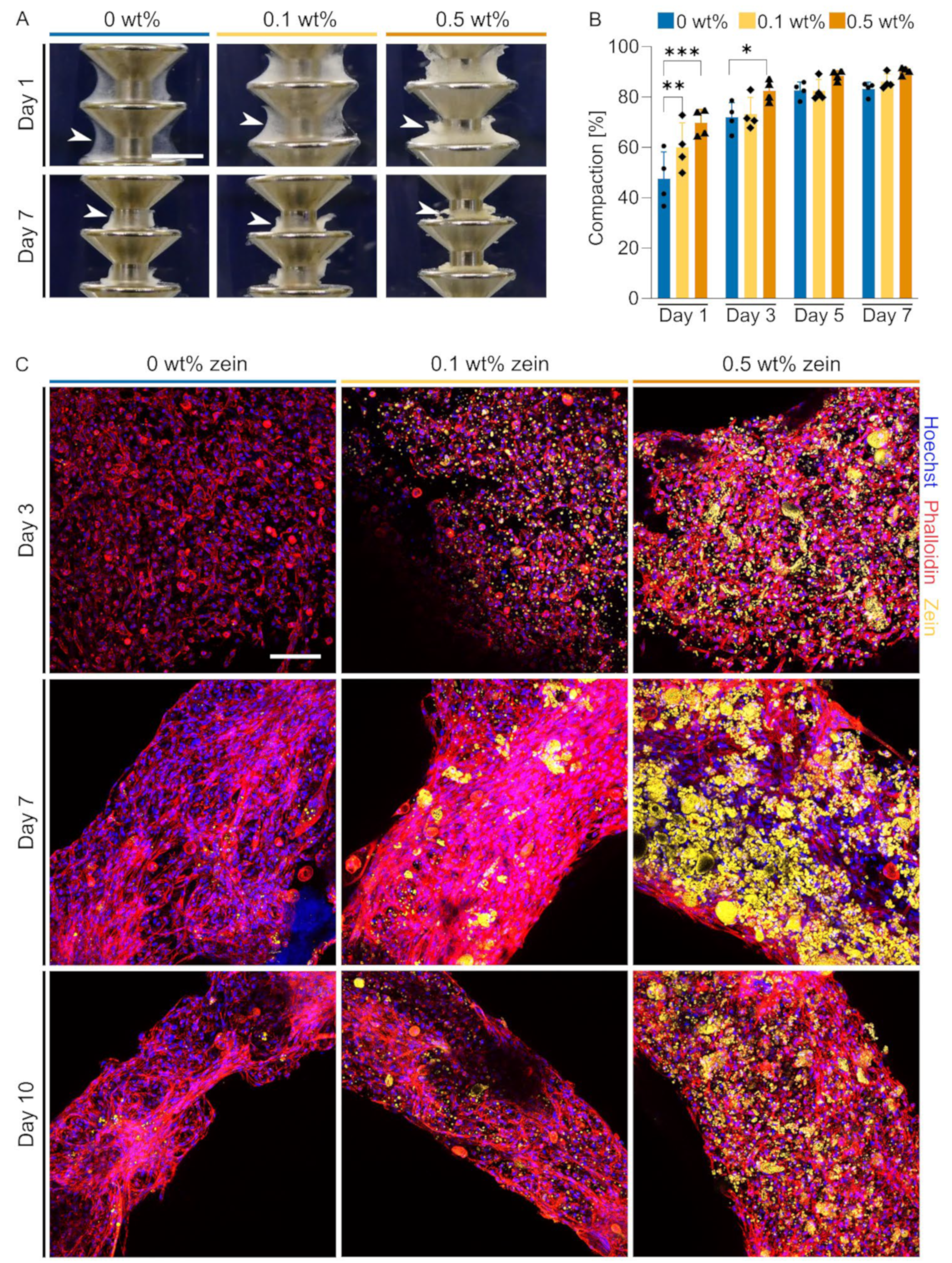 Gels 09 00914 g005