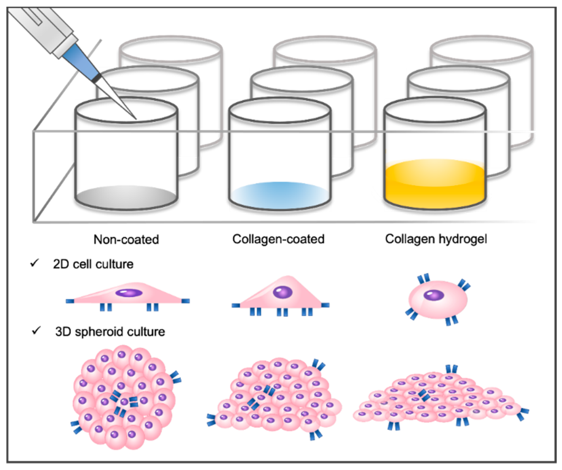 Soft 2D cell culture surfaces
