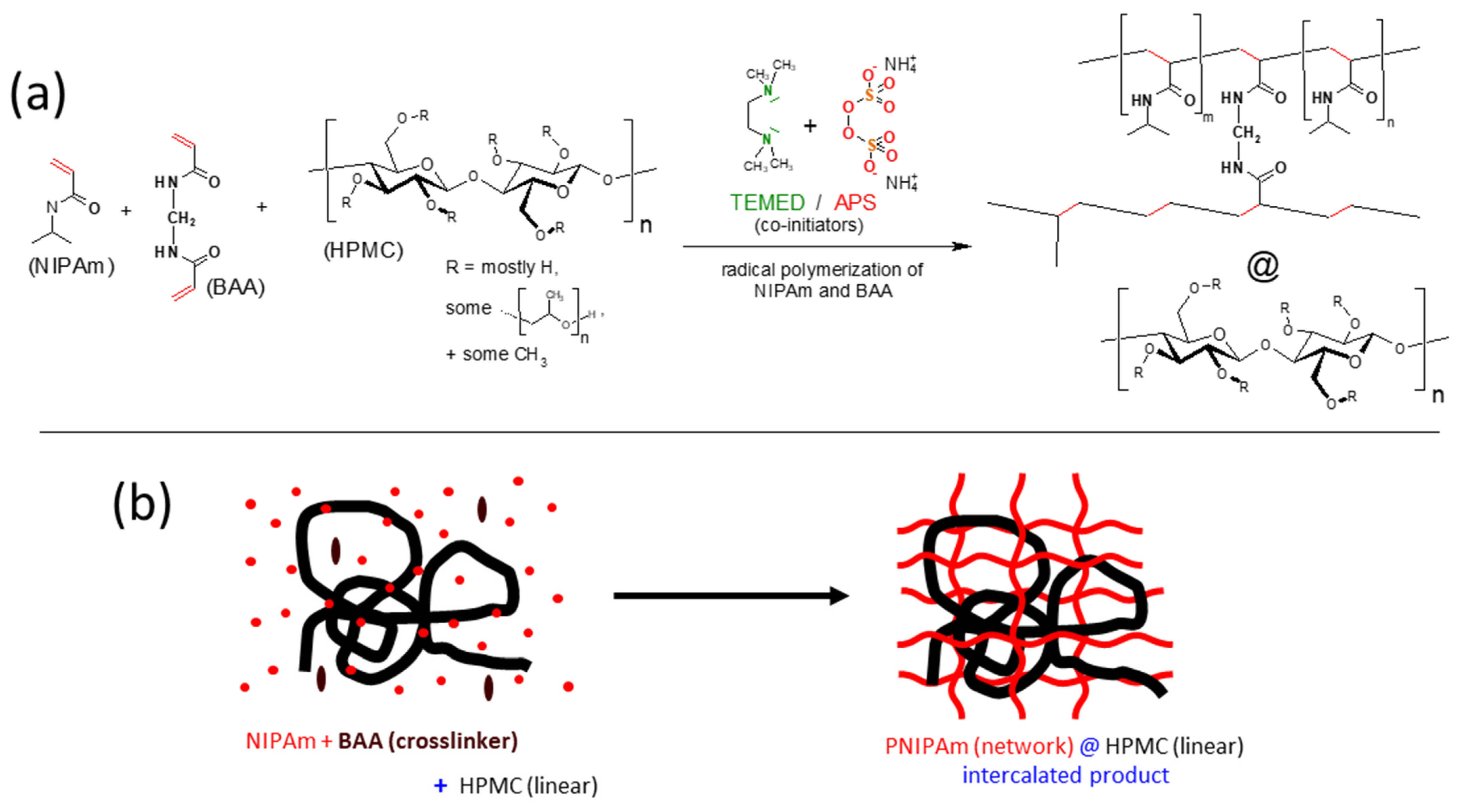 Gels 09 00926 sch001
