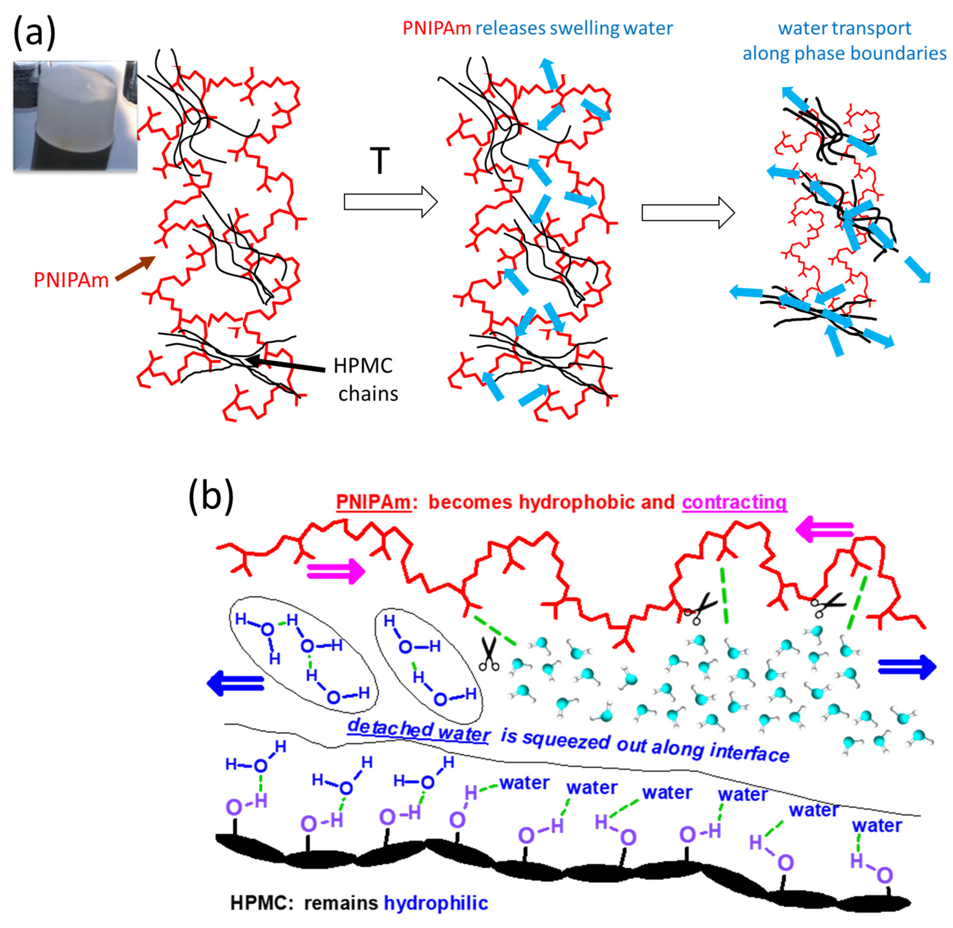 Gels 09 00926 sch005