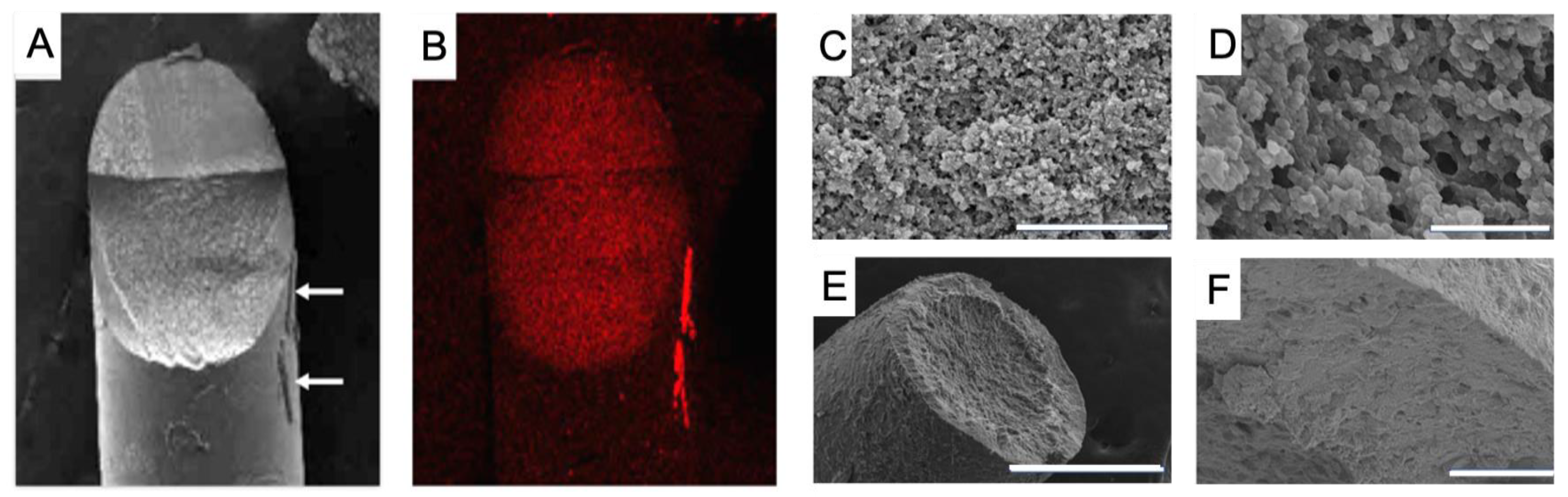 Gels 09 00933 g003 Gels 09 00933 g003