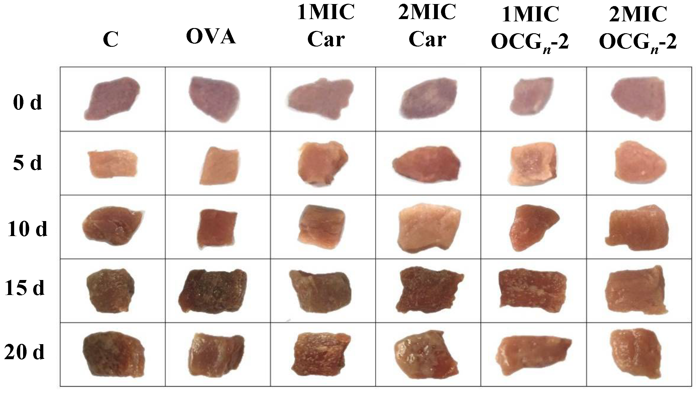 Gels 09 00941 g006