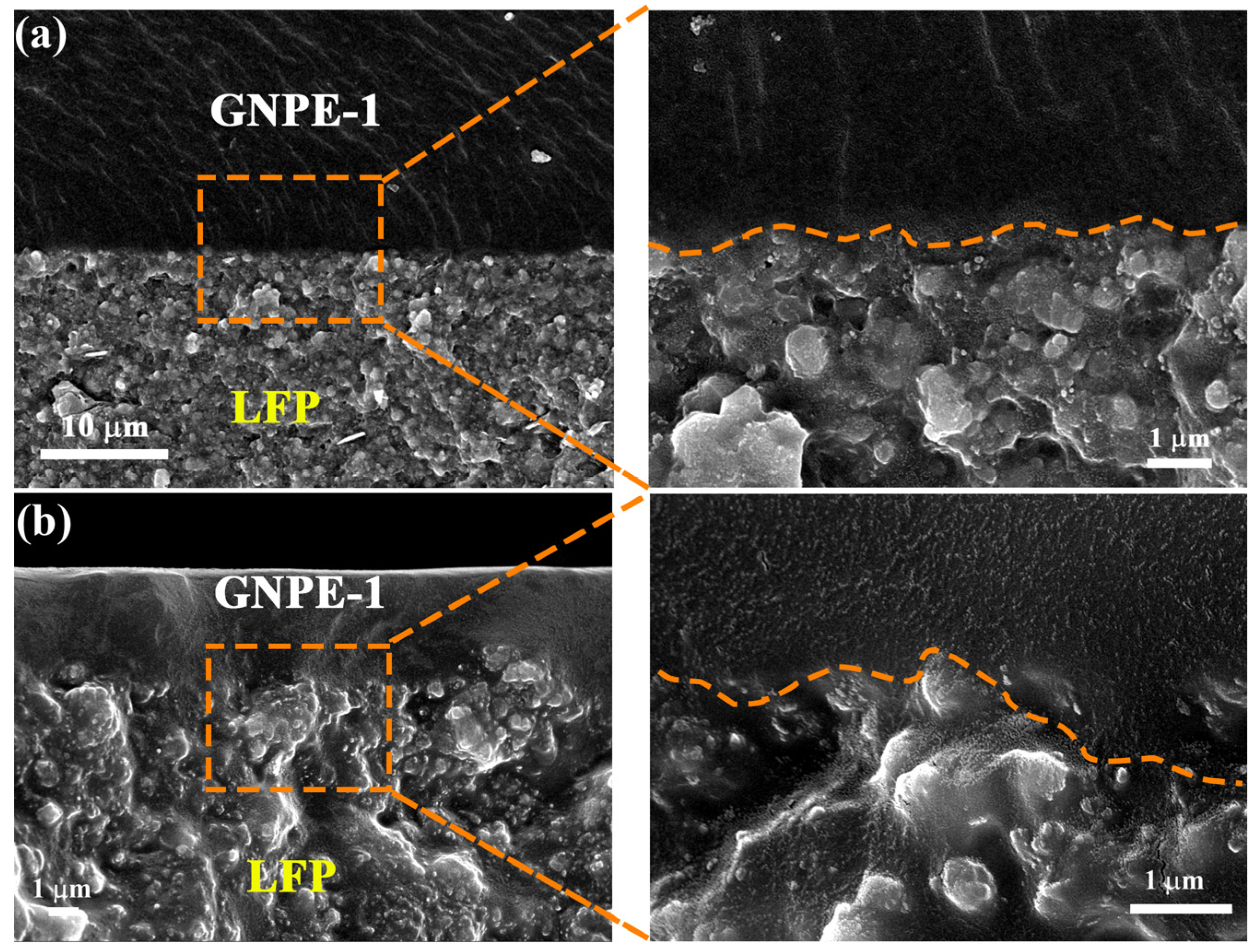 Gels 10 00040 g005 Gels 10 00040 g005