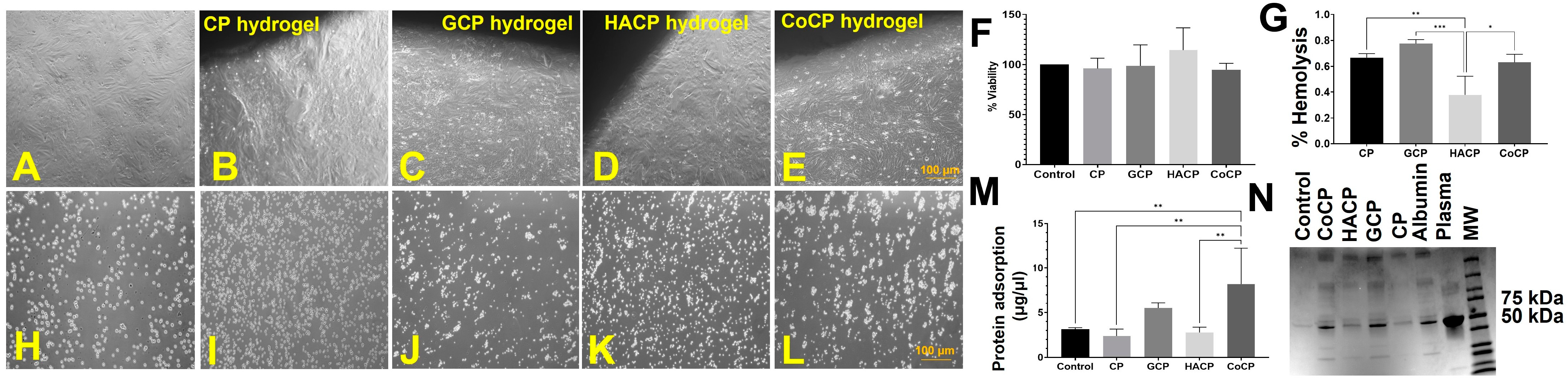 Gels 10 00046 g003 Gels 10 00046 g003