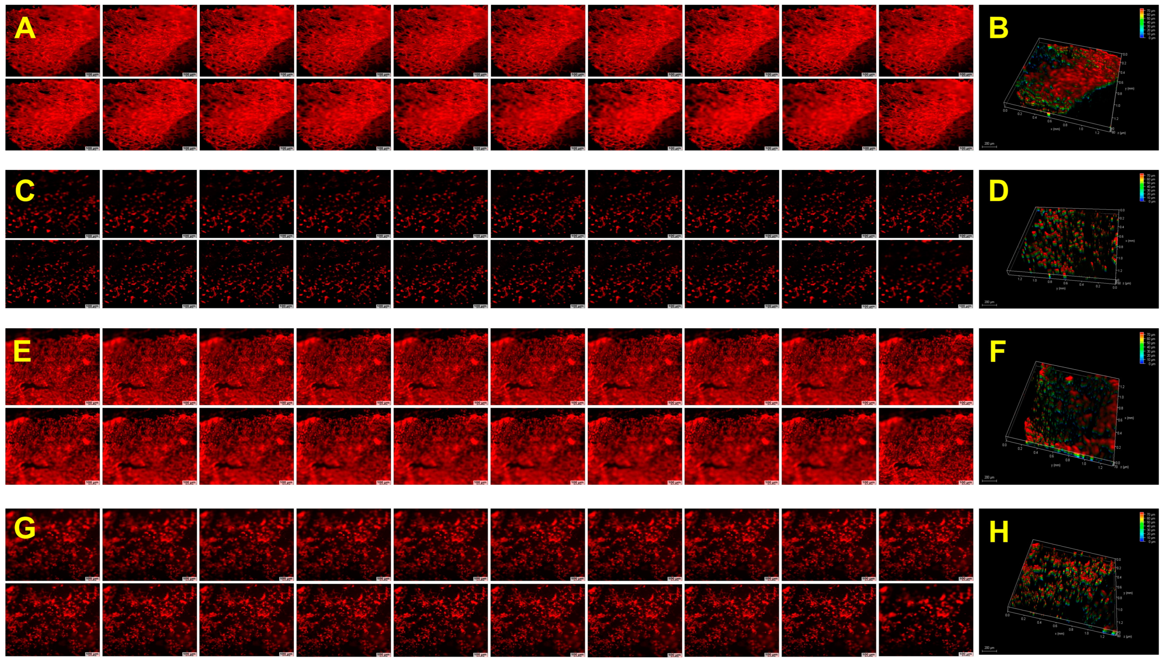 Gels 10 00046 g005 Gels 10 00046 g005