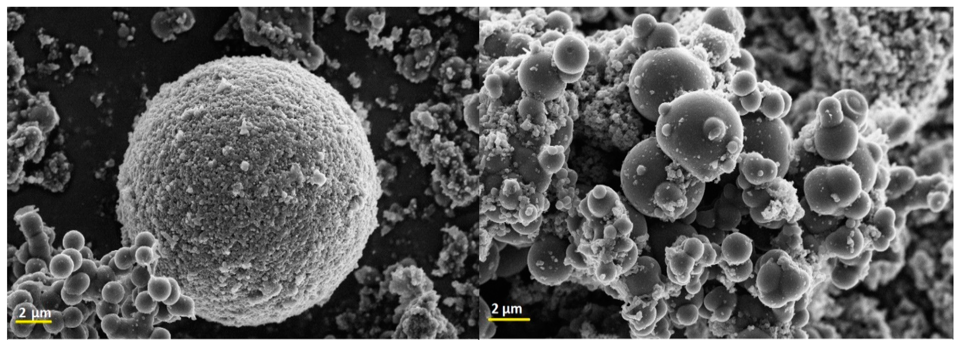 Gels 10 00053 g010