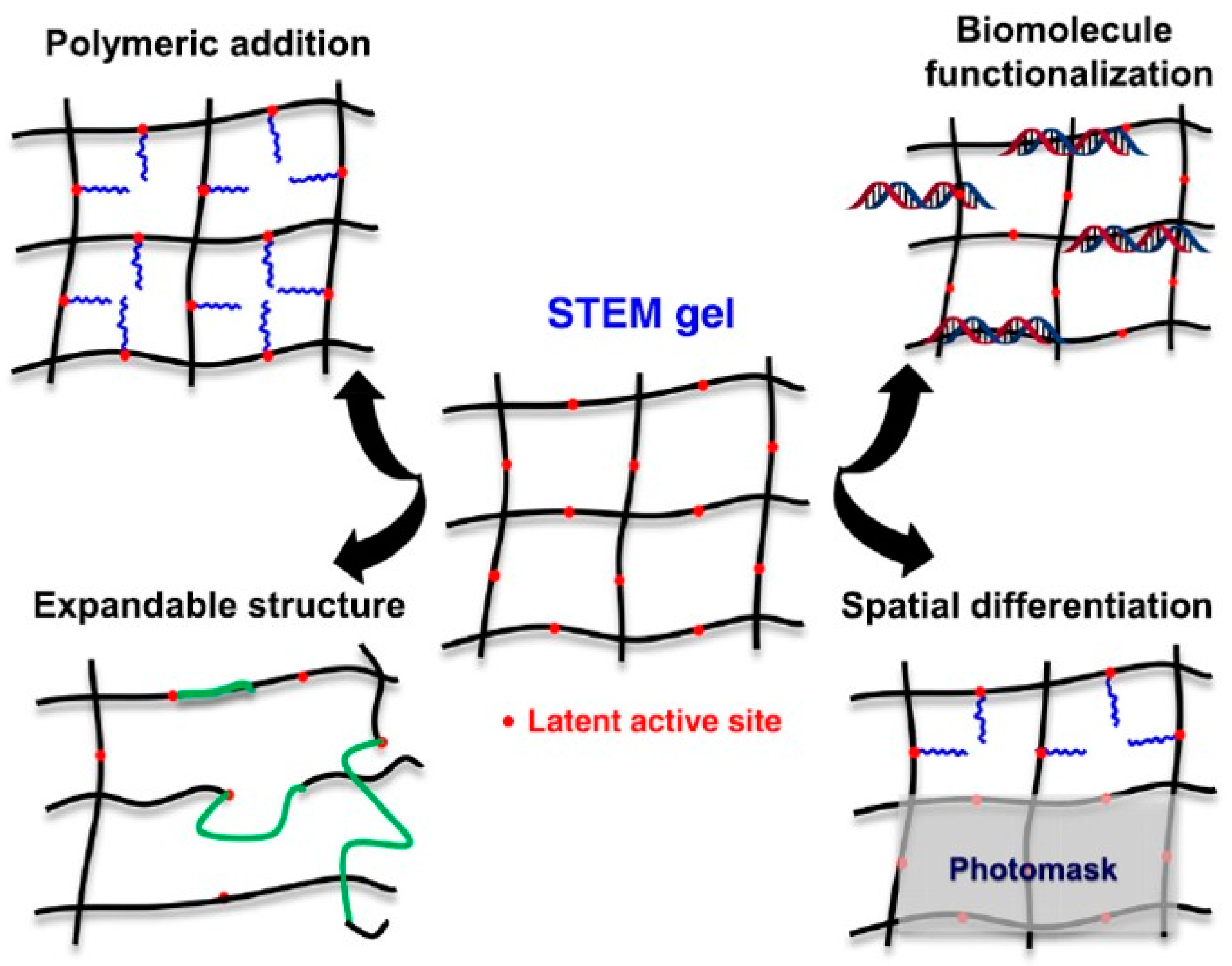 Gels 10 00063 g001 Gels 10 00063 g001