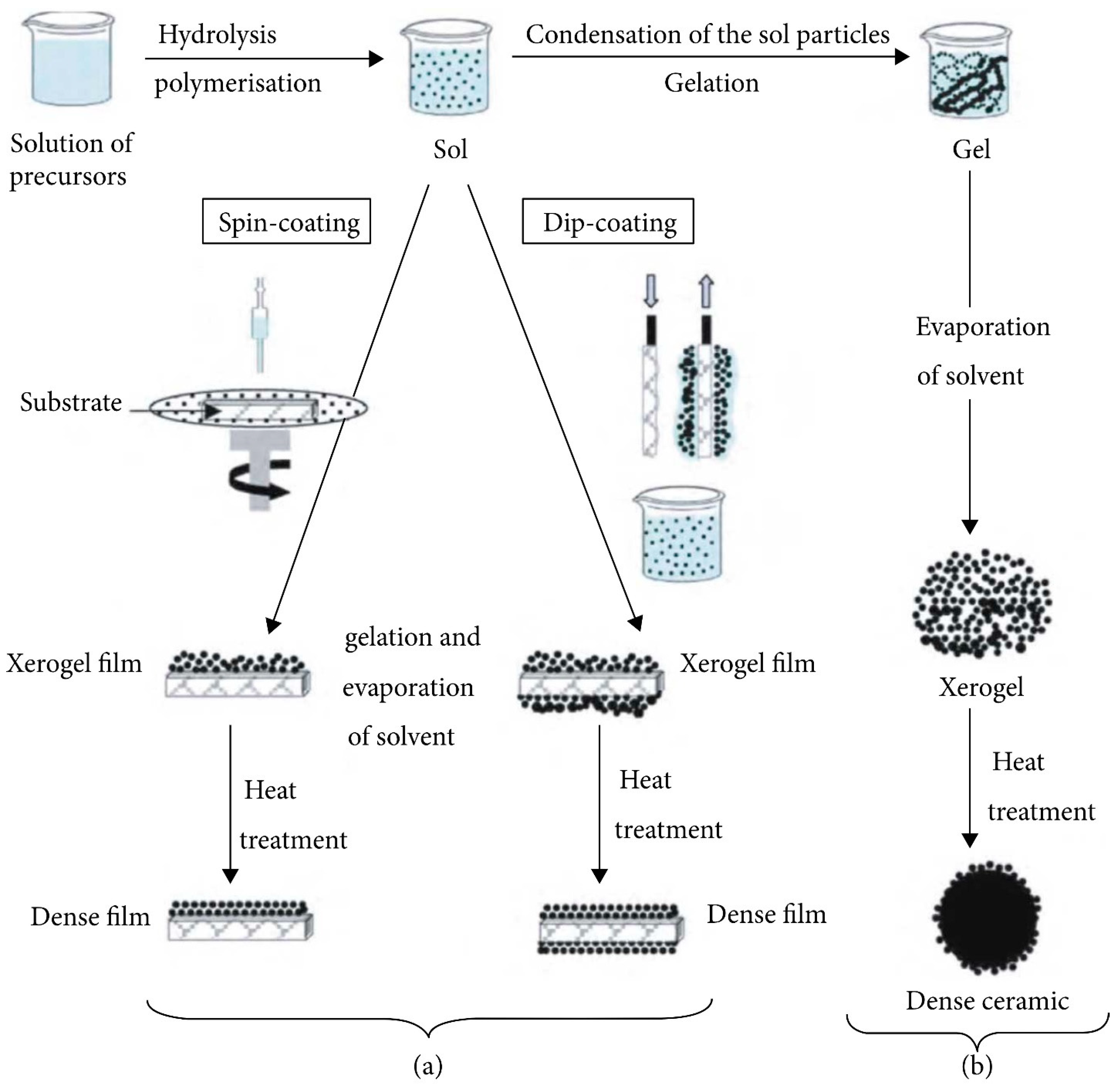 Gels 10 00063 g002 Gels 10 00063 g002