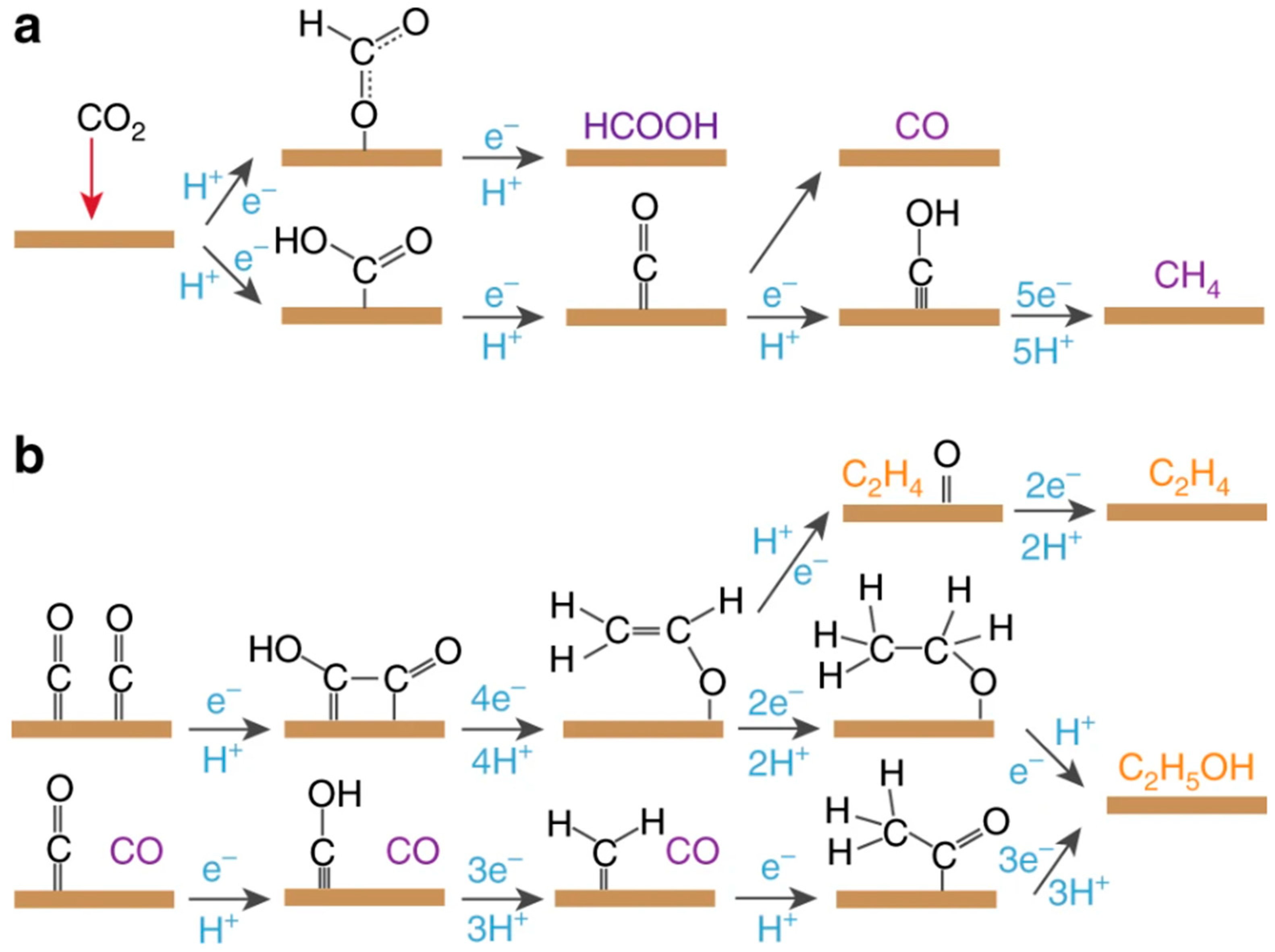 Gels 10 00063 g008 Gels 10 00063 g008