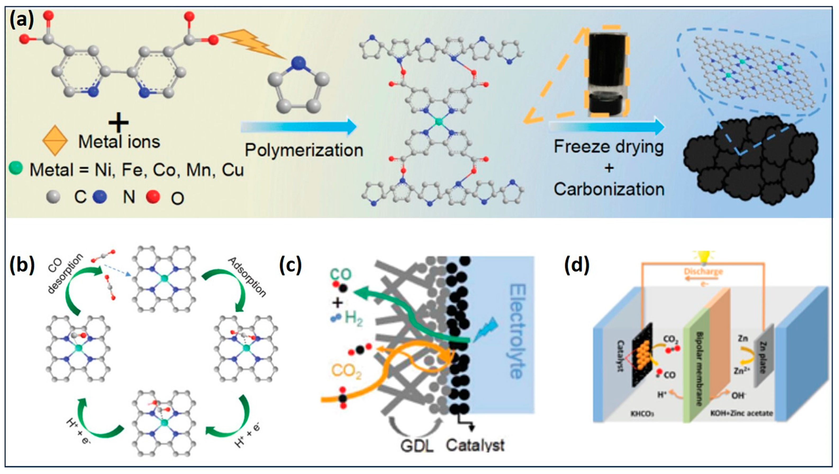 Gels 10 00063 g009 Gels 10 00063 g009