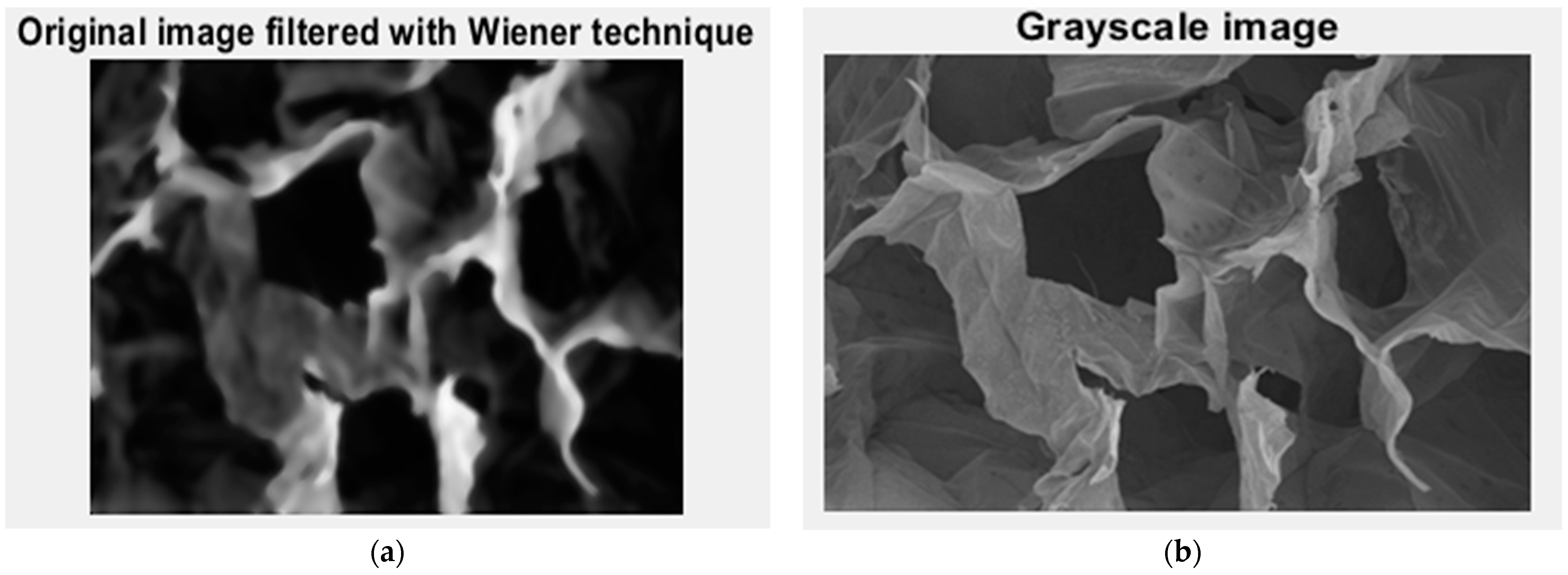 Gels 10 00083 g007 Gels 10 00083 g007