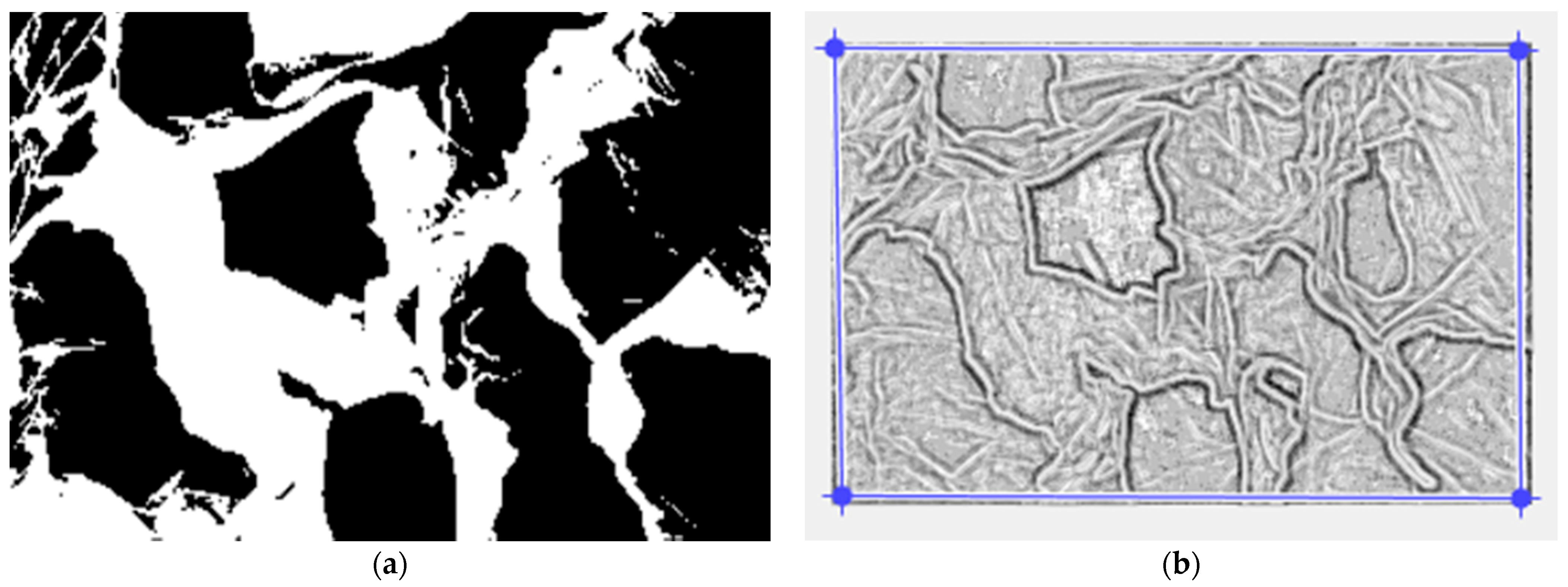 Gels 10 00083 g008 Gels 10 00083 g008