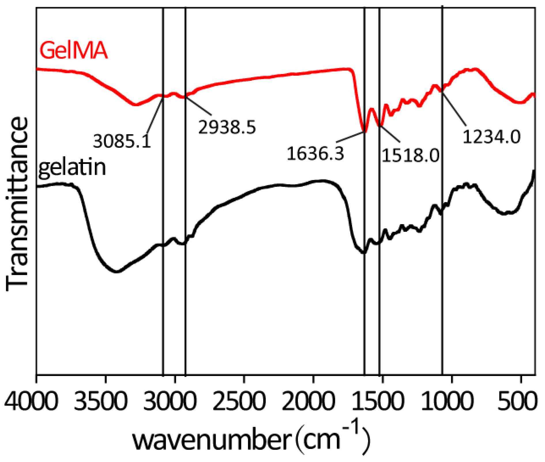 Gels 10 00125 g002 Gels 10 00125 g002
