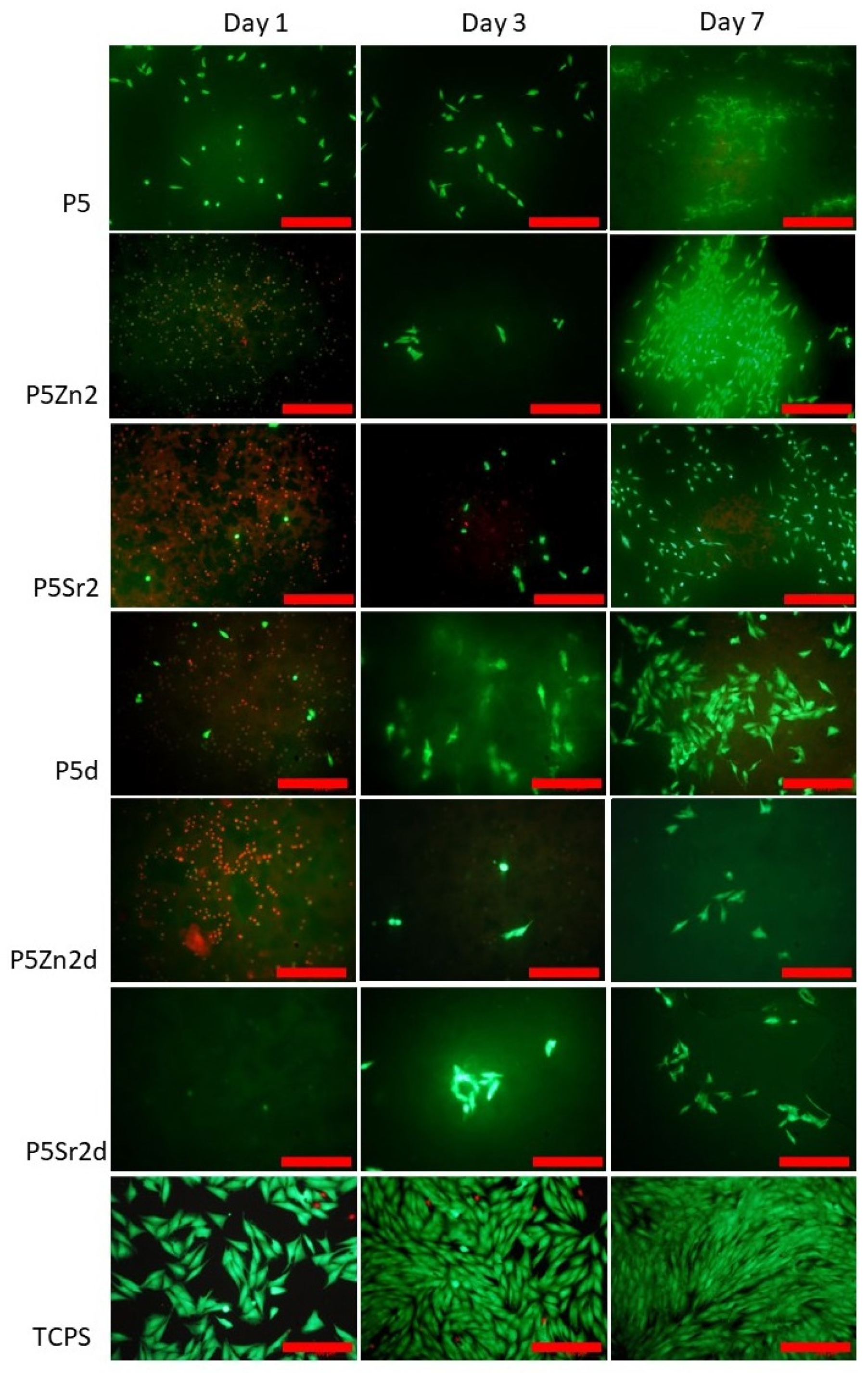 Gels 10 00128 g009 Gels 10 00128 g009