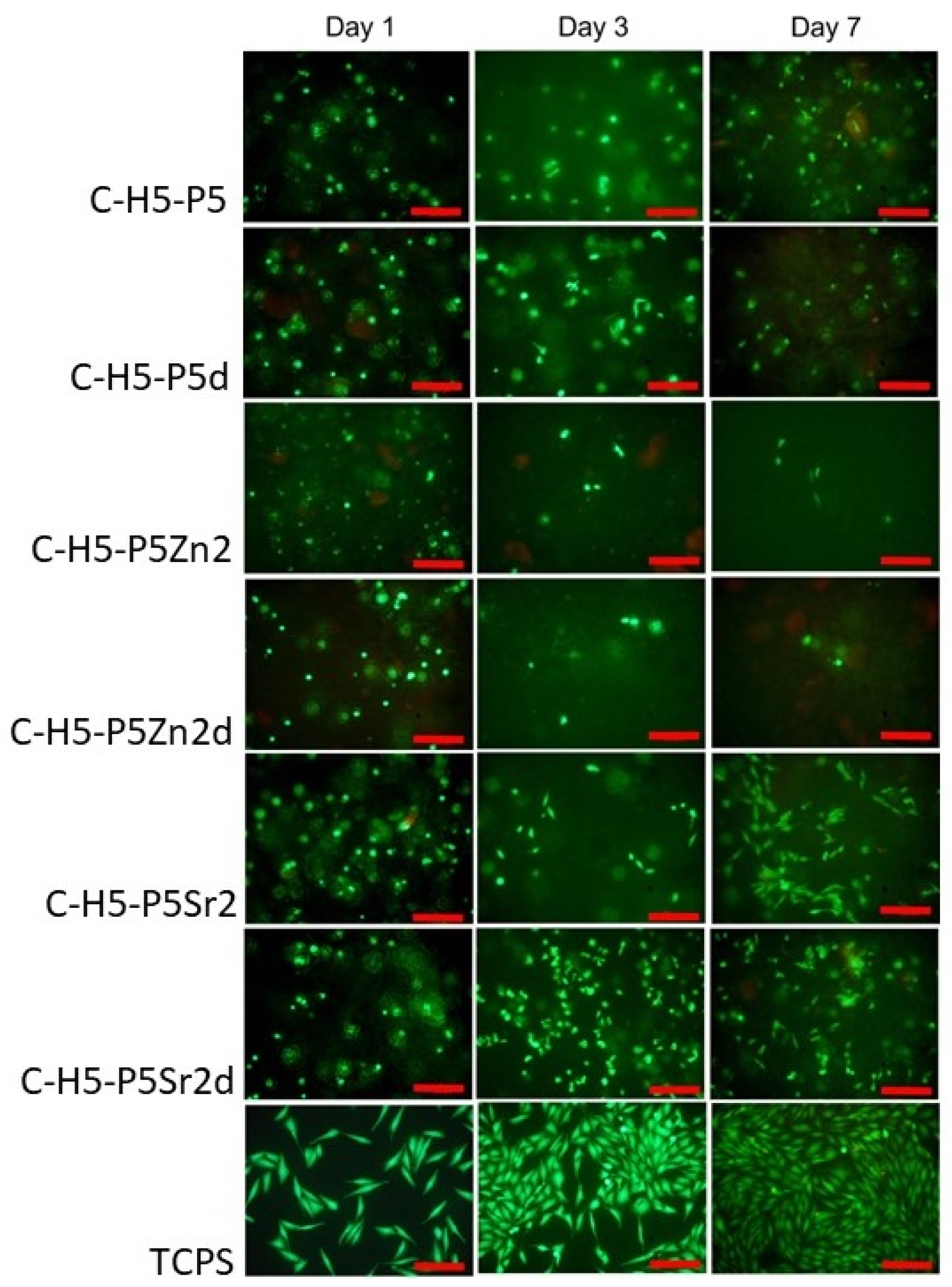 Gels 10 00128 g013 Gels 10 00128 g013