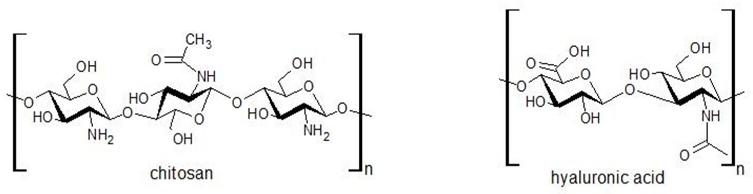 Gels 10 00128 g016 Gels 10 00128 g016
