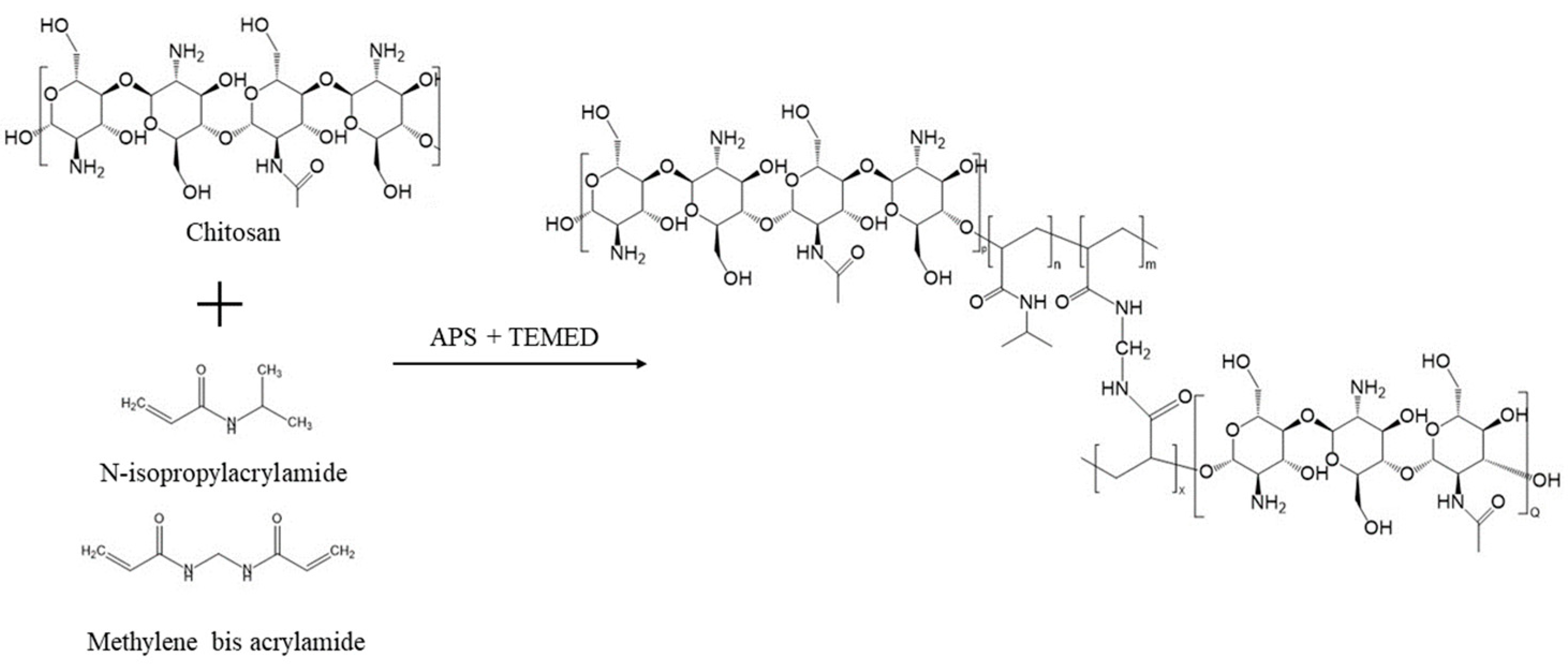 Gels 10 00140 sch001