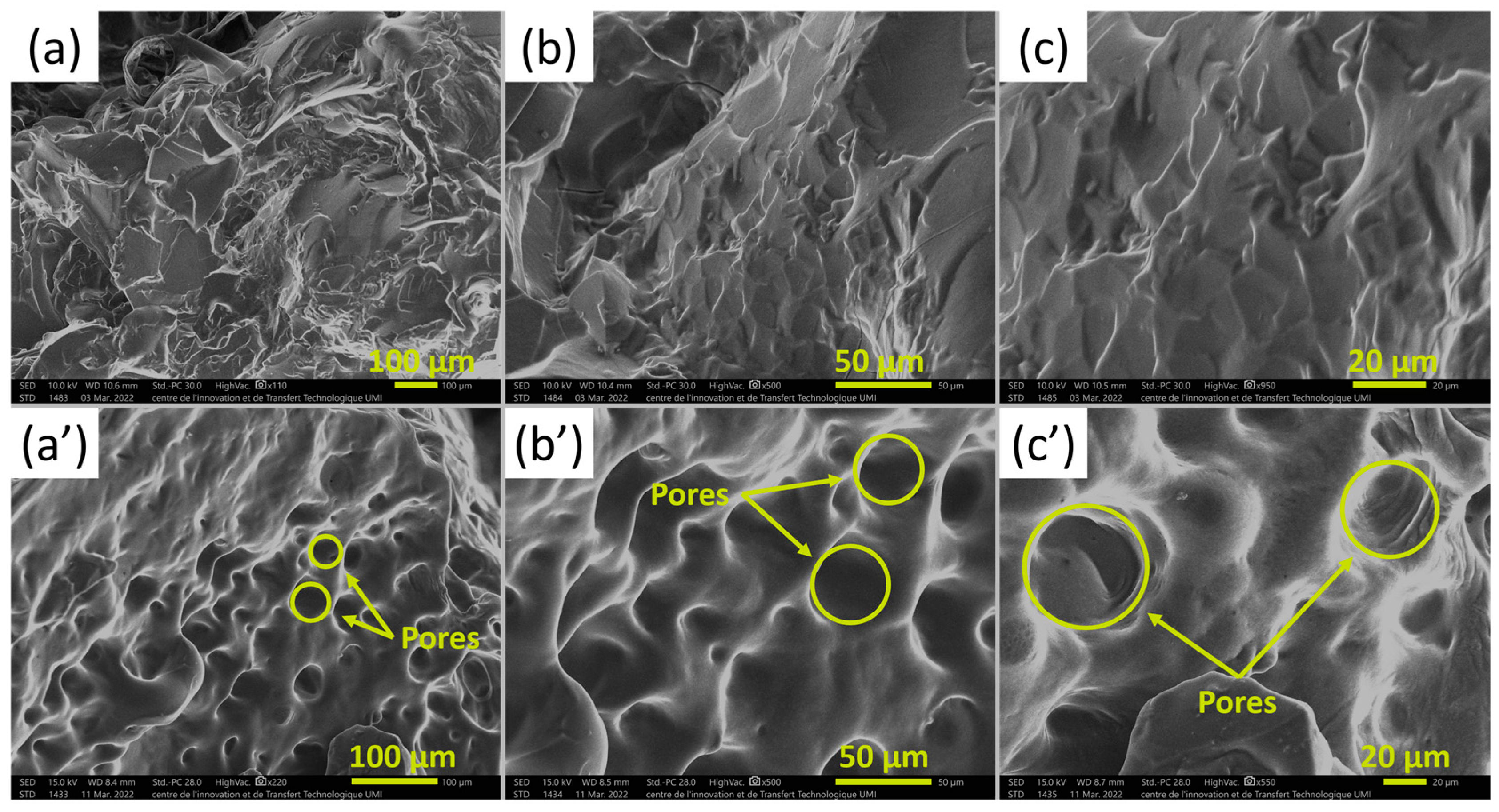Gels 10 00170 g010 Gels 10 00170 g010