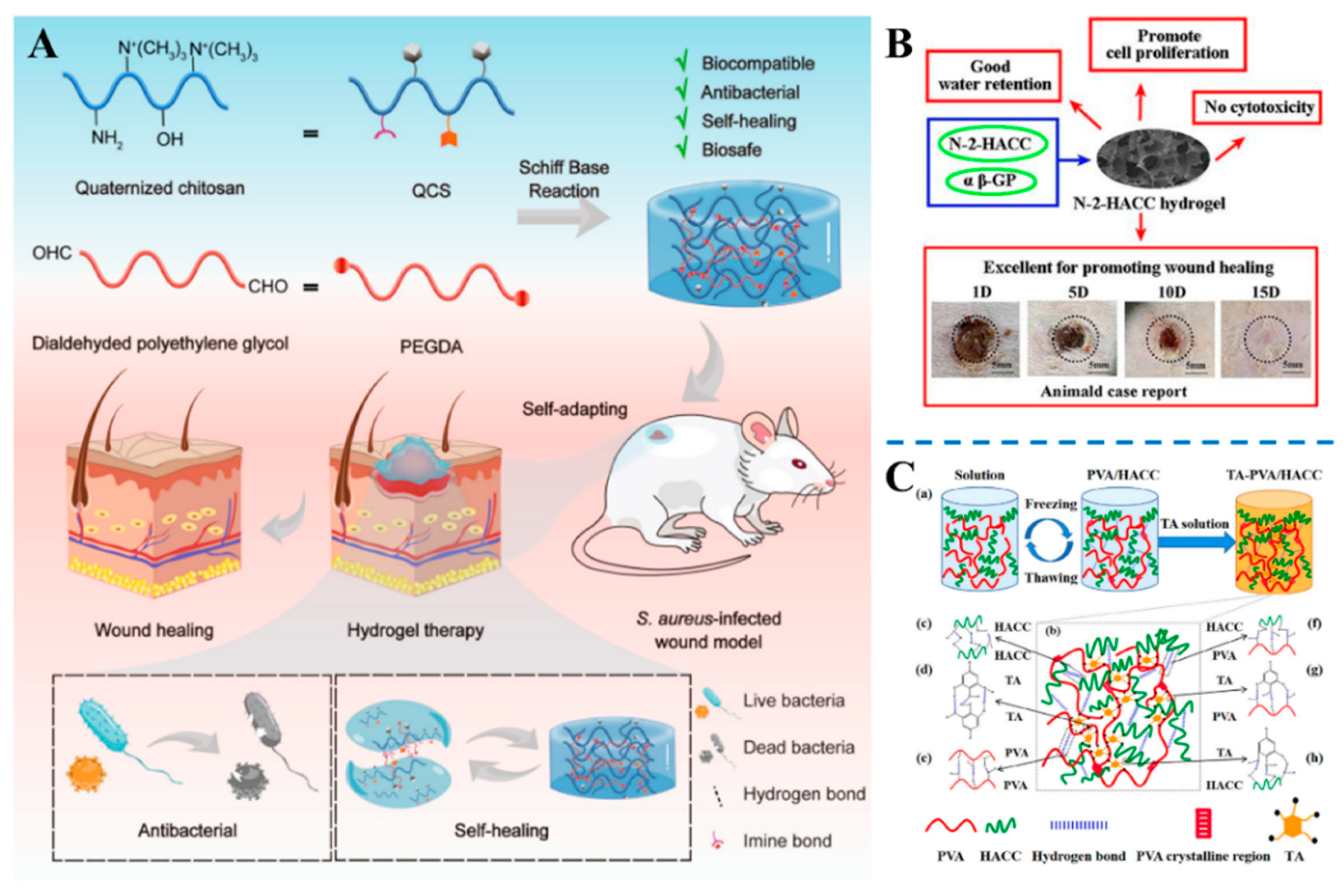 Gels 10 00175 g003 Gels 10 00175 g003