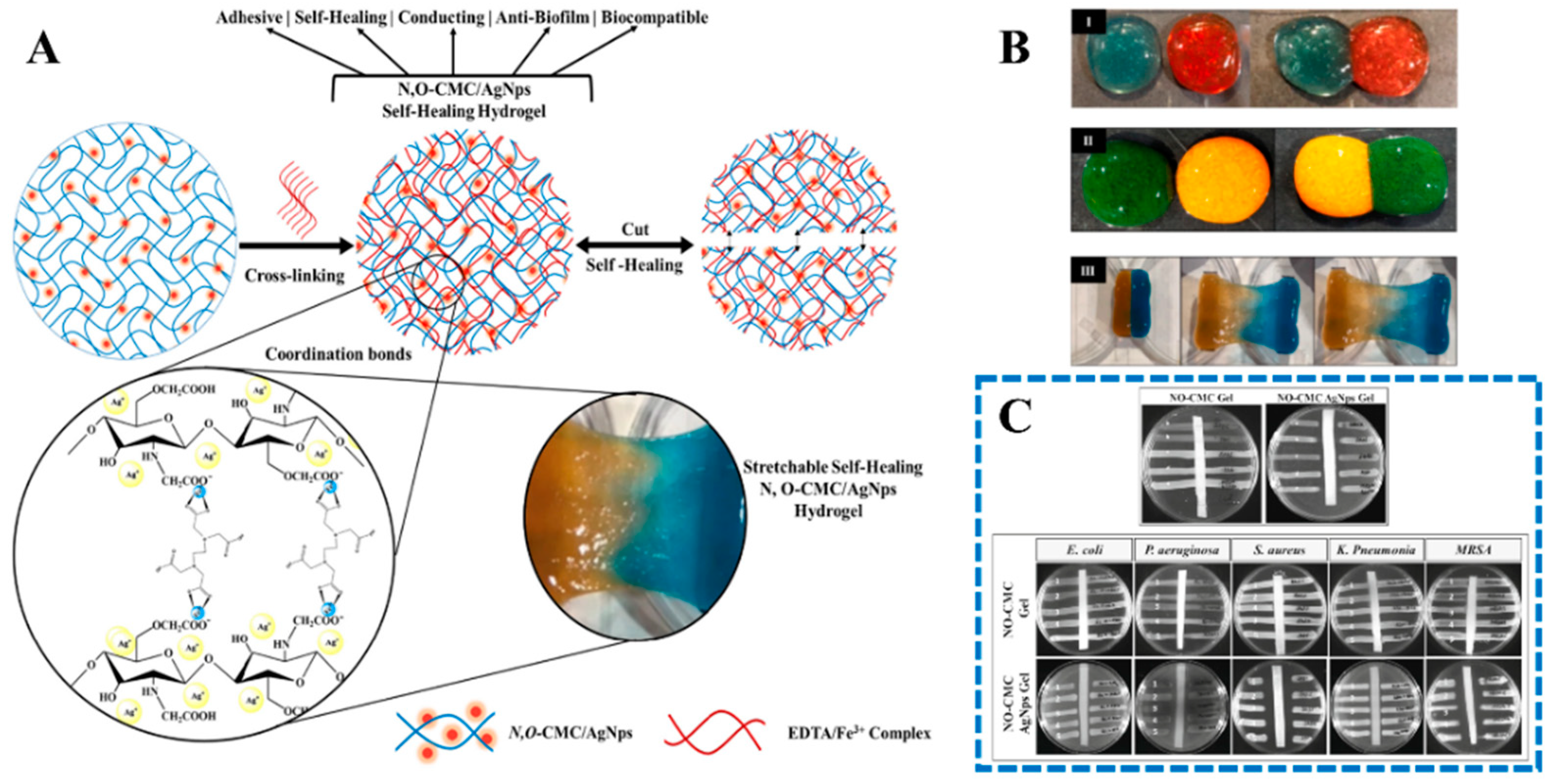 Gels 10 00175 g004 Gels 10 00175 g004