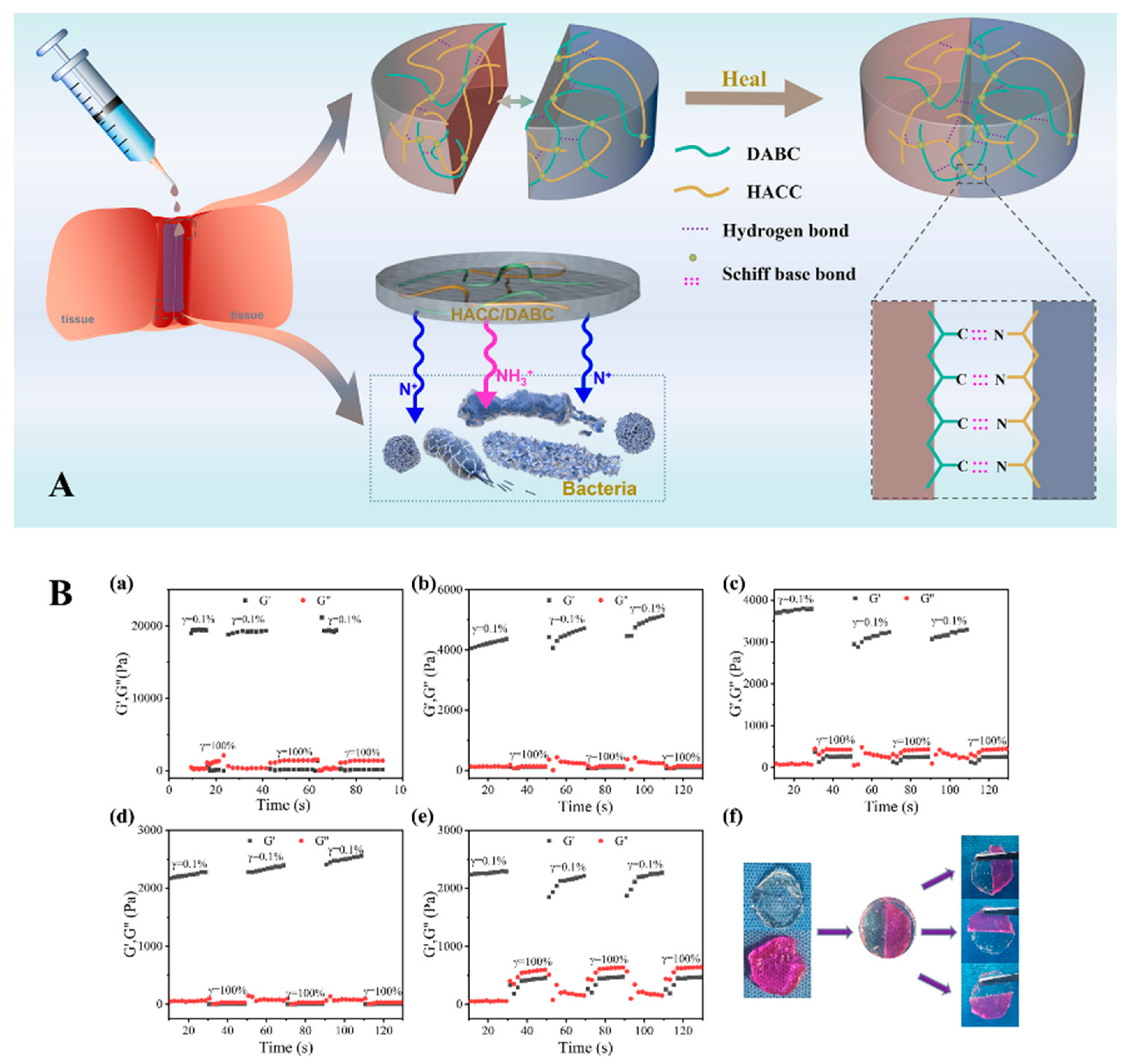 Gels 10 00175 g008 Gels 10 00175 g008