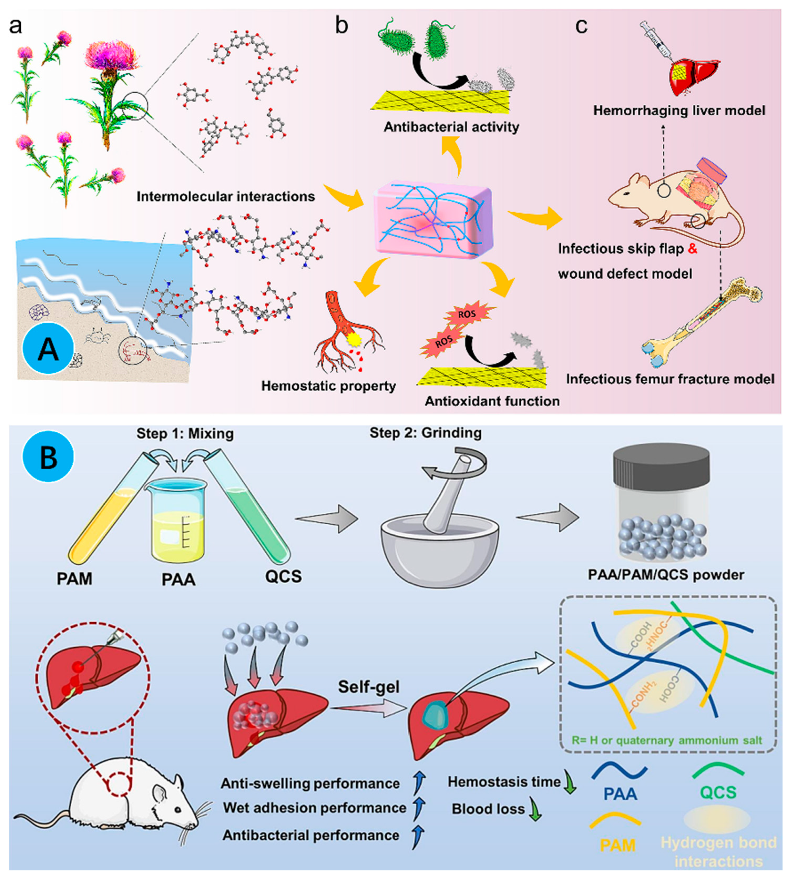 Gels 10 00175 g009 Gels 10 00175 g009