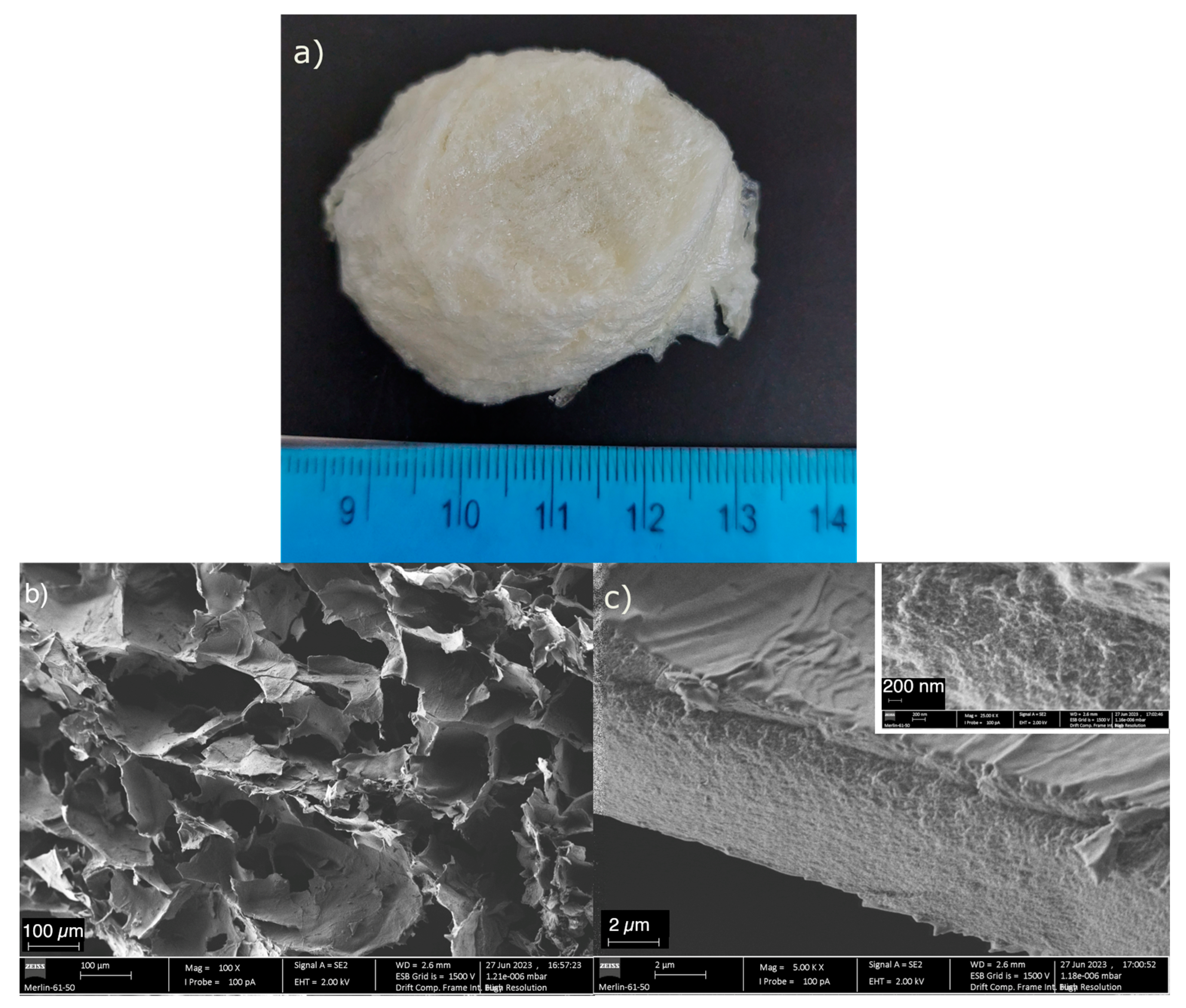 Gels 10 00192 g001 Gels 10 00192 g001