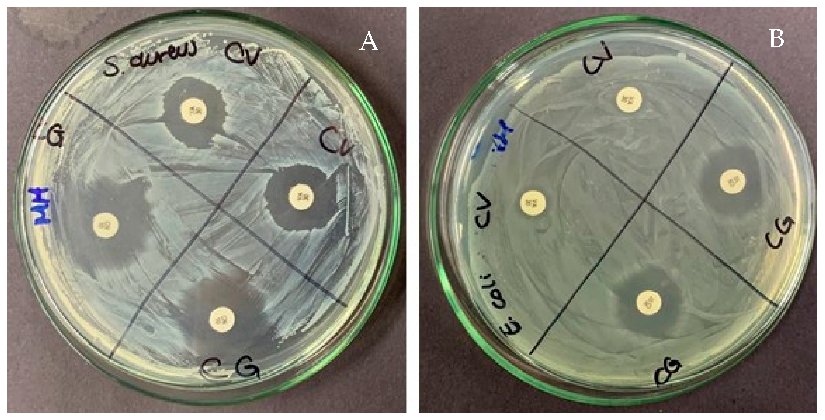 Gels 10 00234 g007 Gels 10 00234 g007
