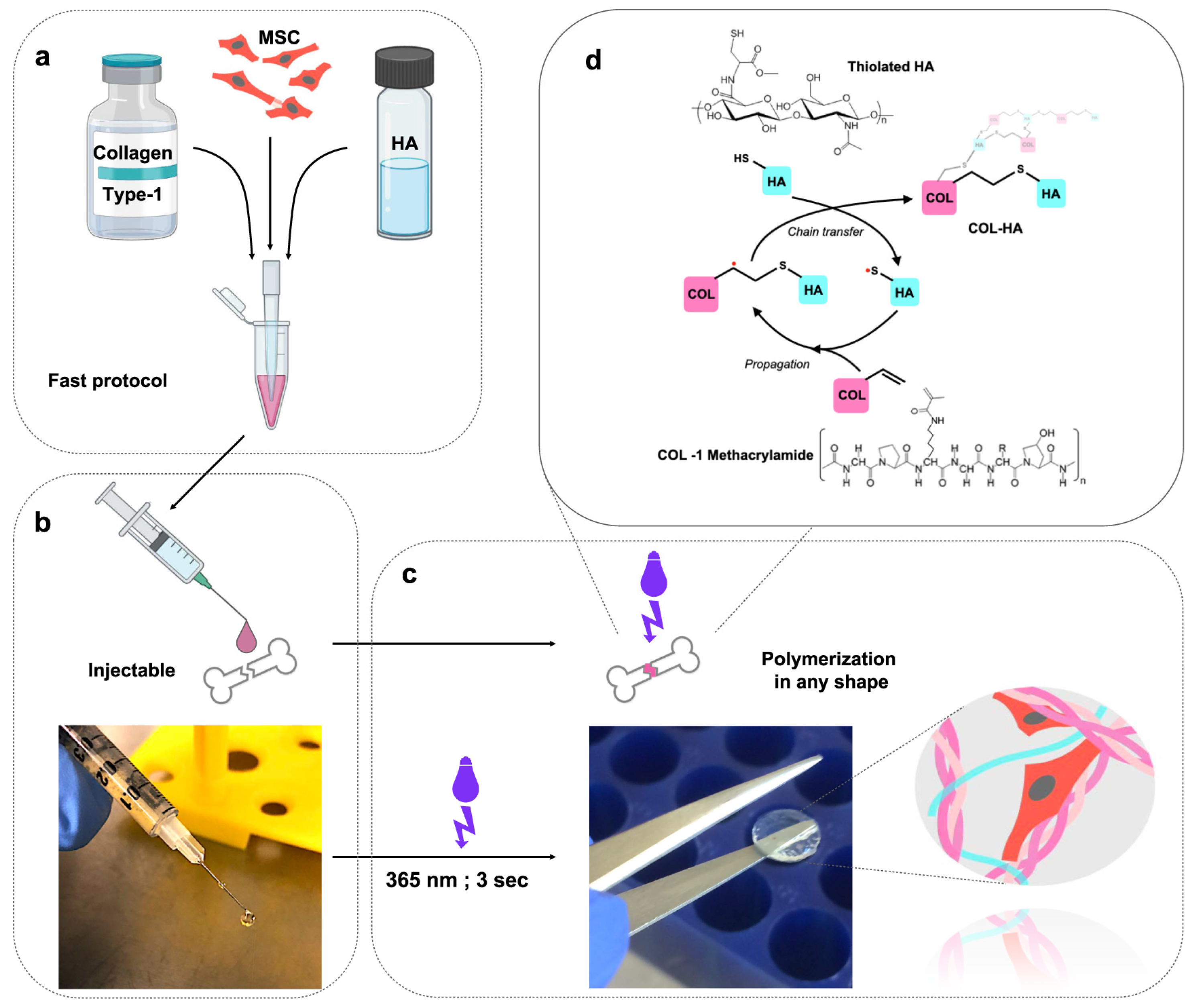 Gels 10 00238 g002 Gels 10 00238 g002