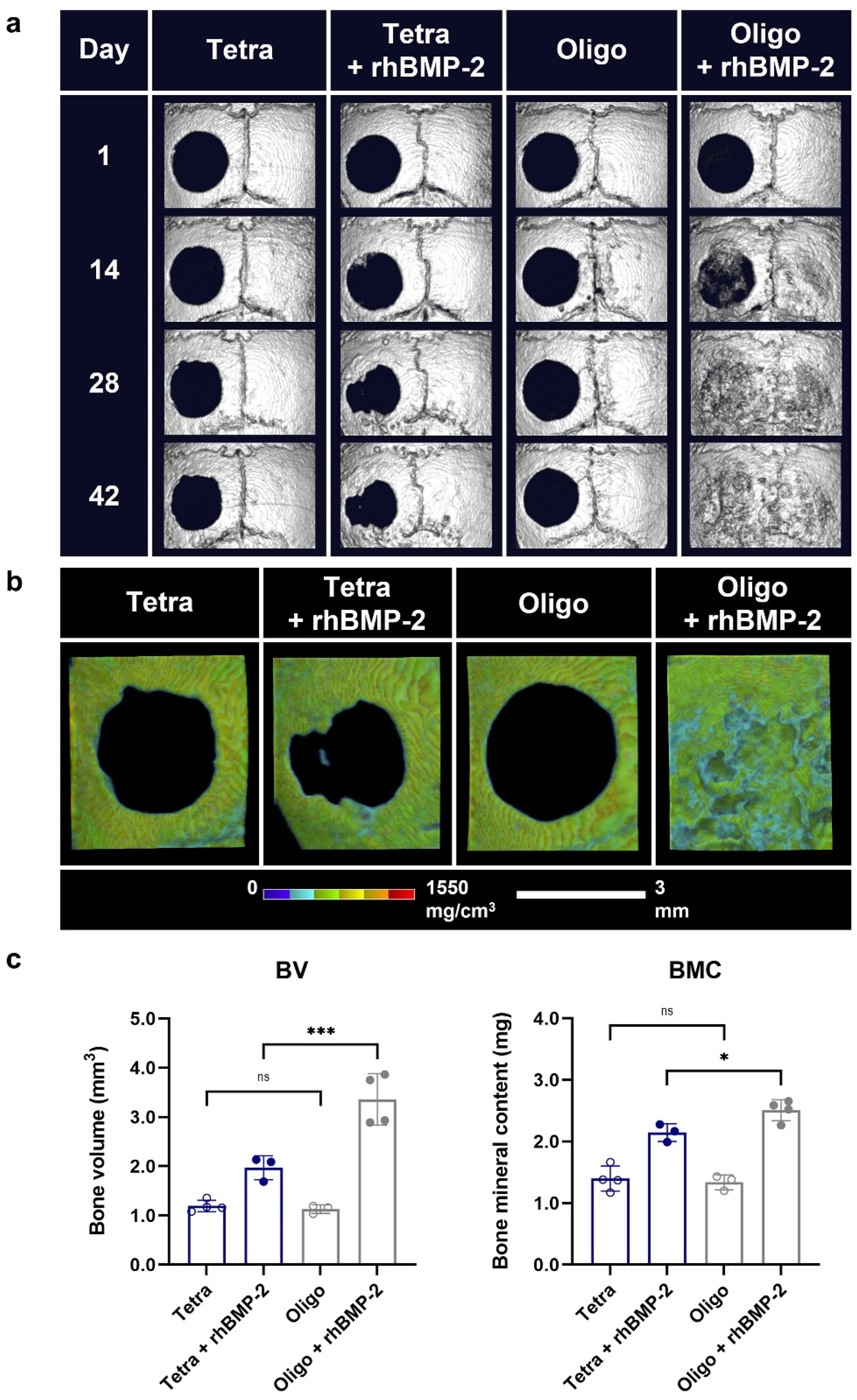Gels 10 00238 g005 Gels 10 00238 g005