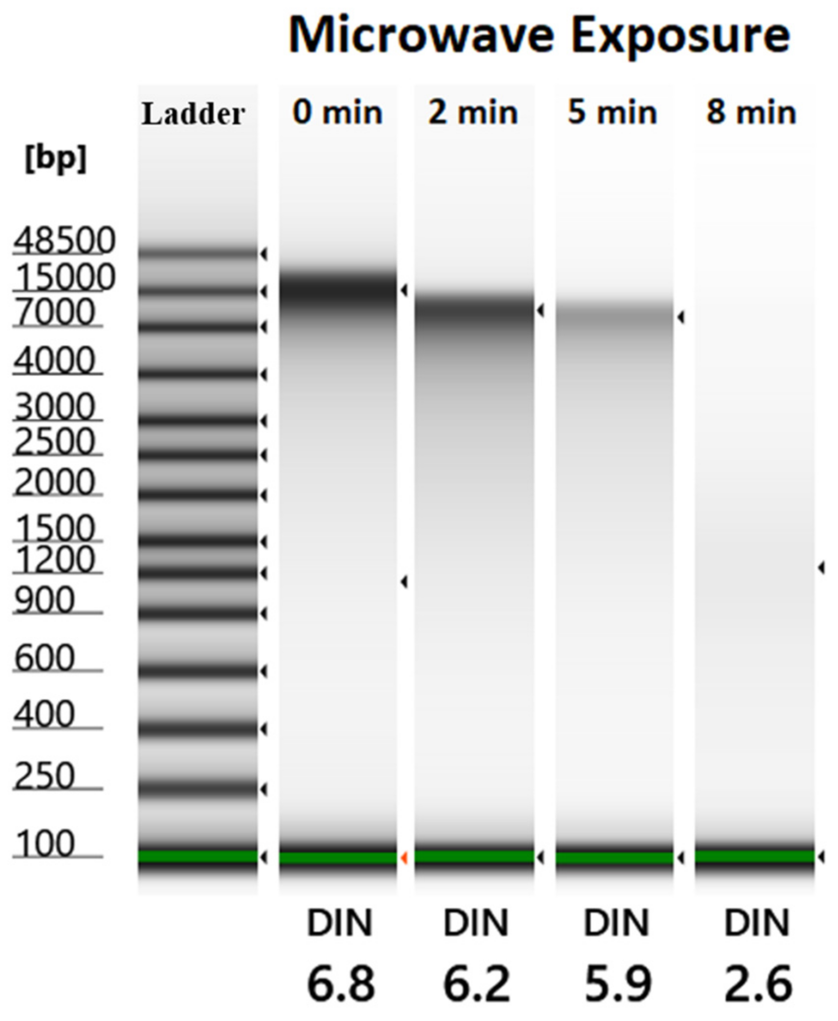 Gels 10 00242 g001 Gels 10 00242 g001