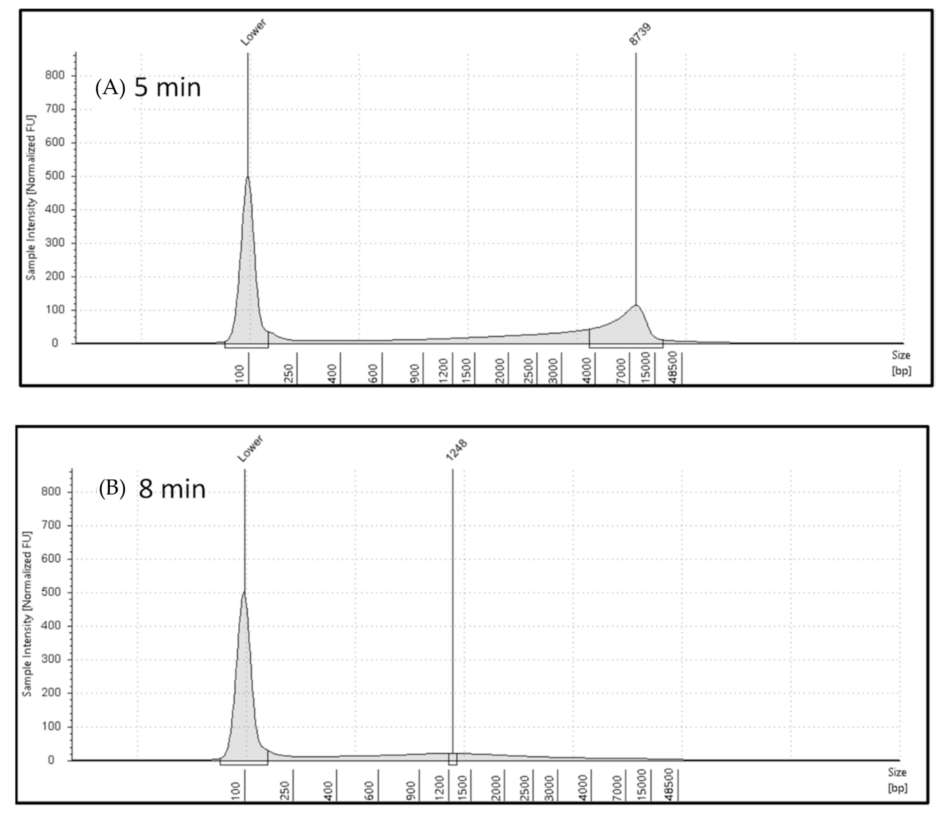 Gels 10 00242 g003 Gels 10 00242 g003