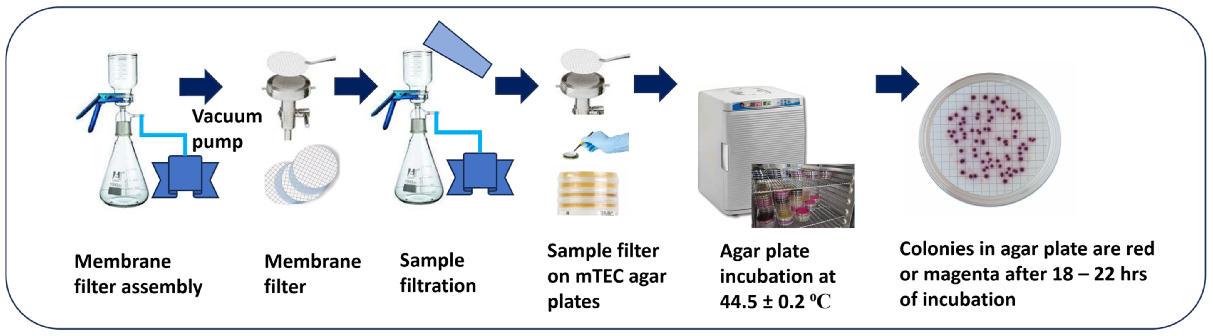 Gels 10 00242 g007 Gels 10 00242 g007