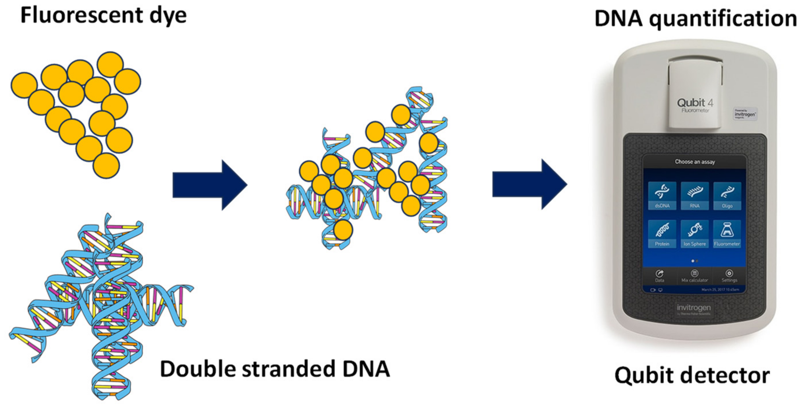 Gels 10 00242 g009 Gels 10 00242 g009