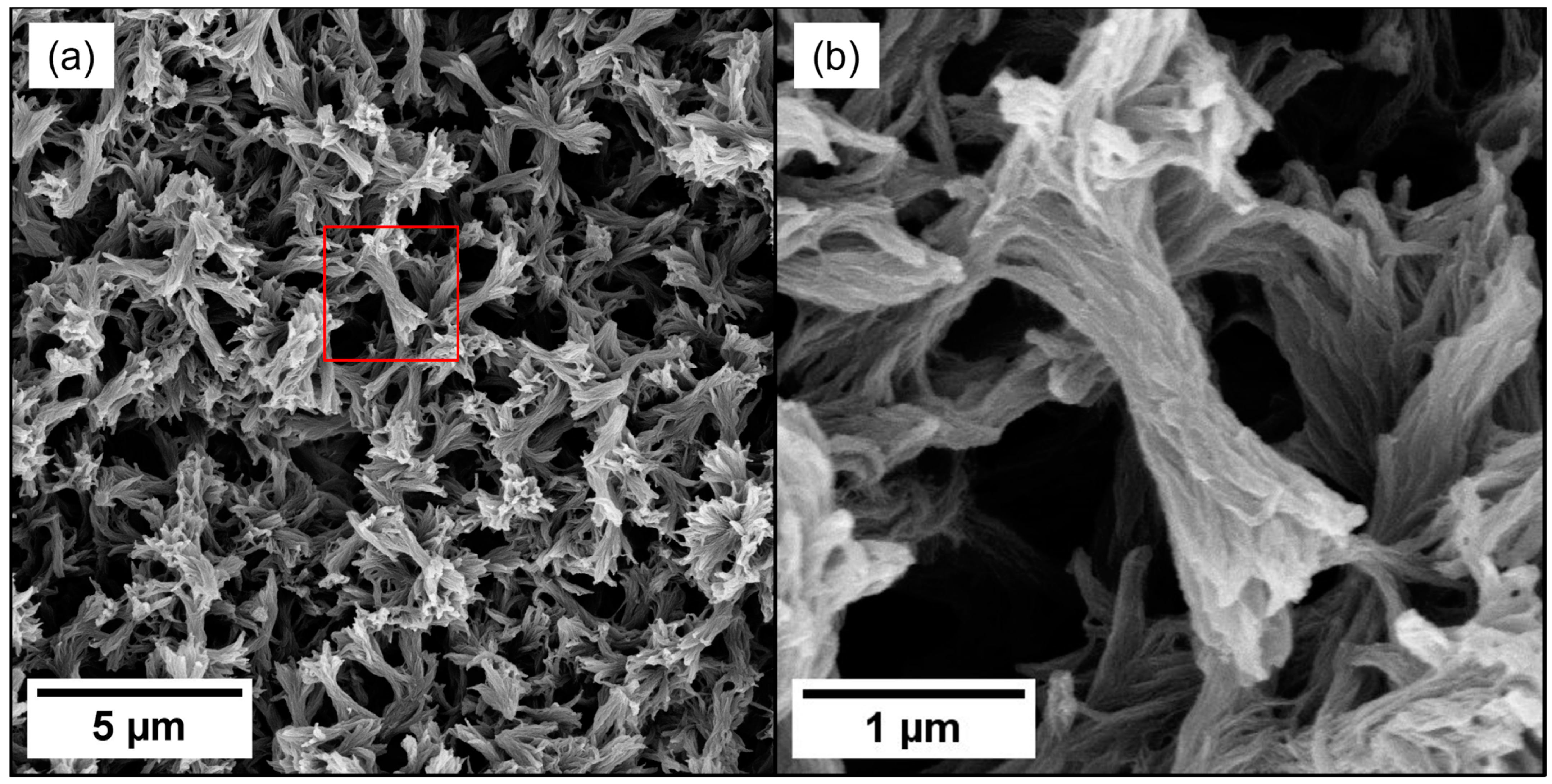 Gels 10 00283 g003 Gels 10 00283 g003