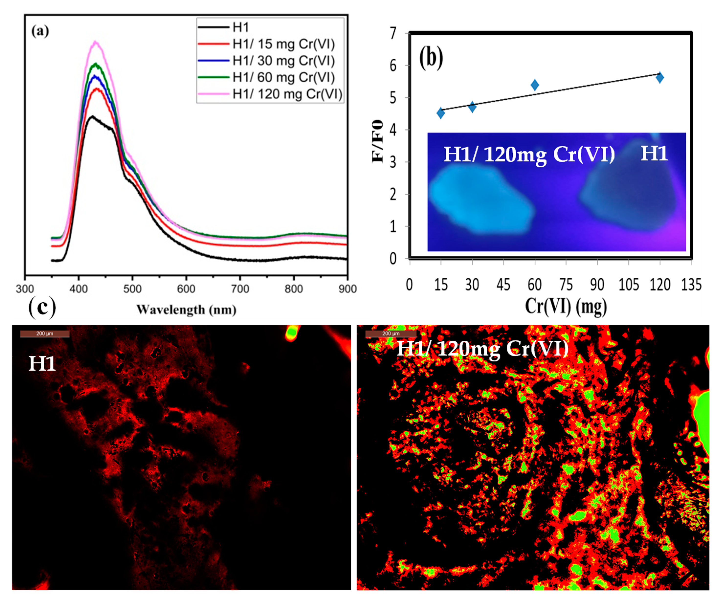 Gels 10 00296 g006