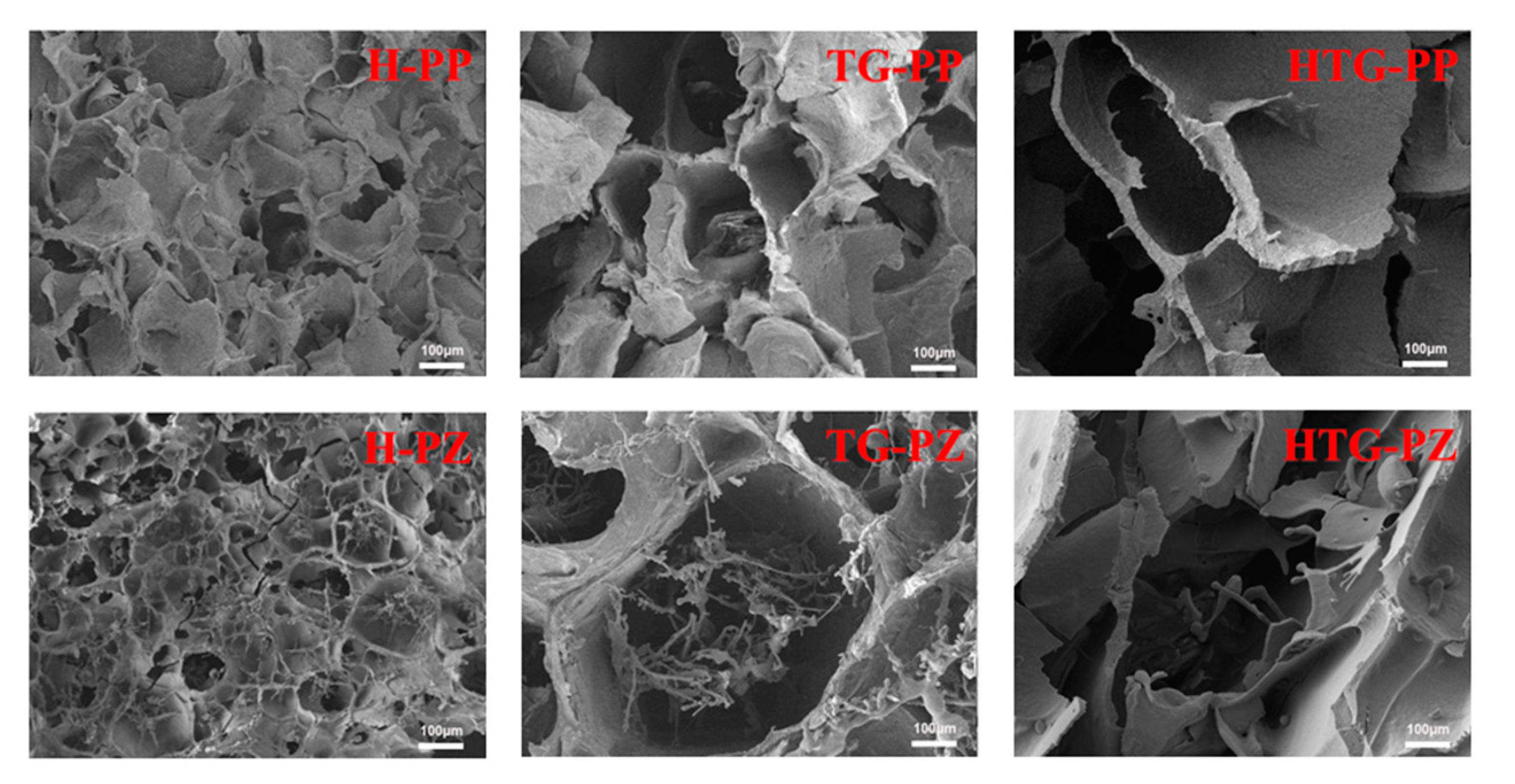Gels 10 00301 g004