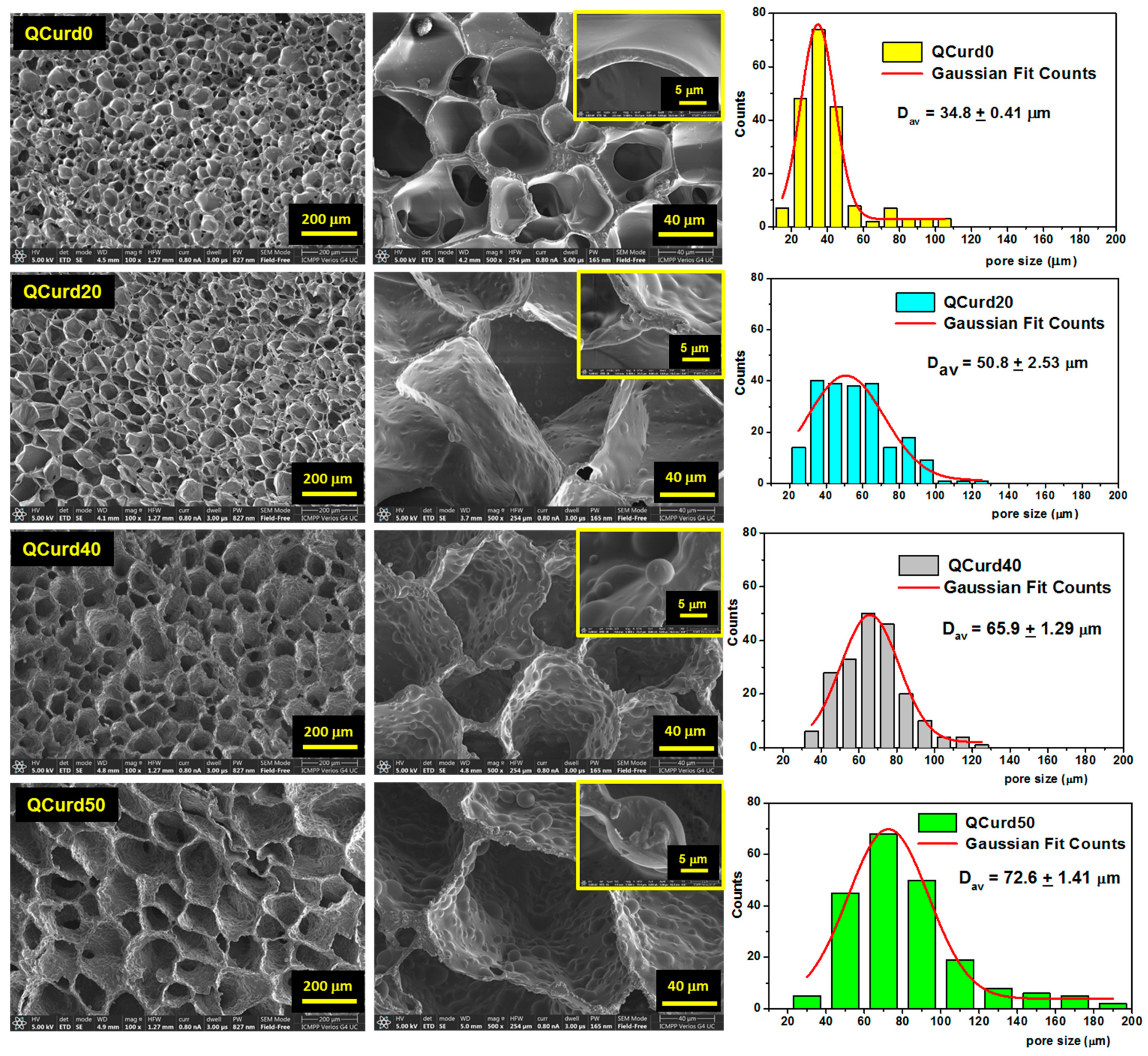 Gels 10 00424 g003